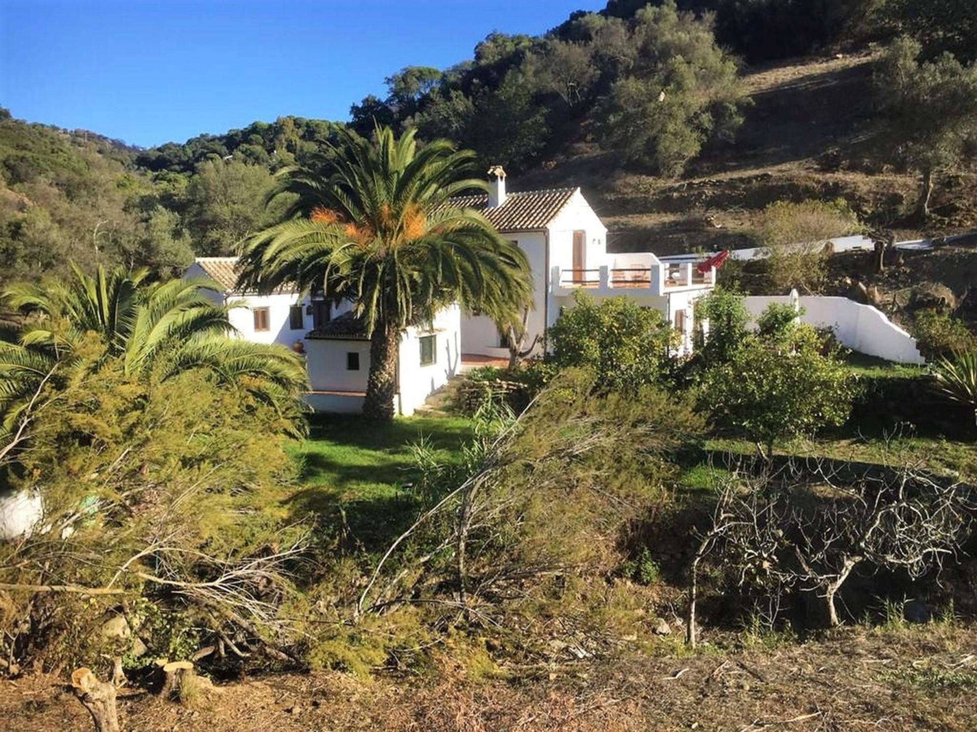 casa no Casares, Andaluzia 10208224