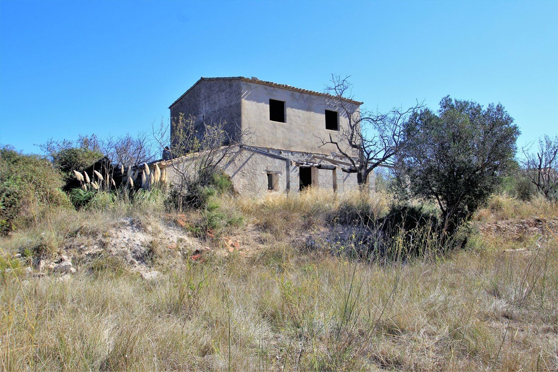 Hus i Teulada, Spain, Valencian Community 10208652