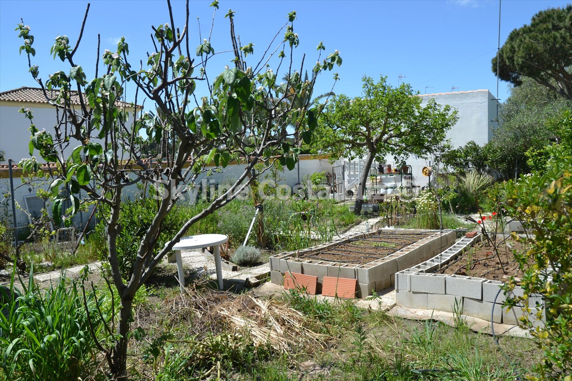 Rumah di Chiclana de la Frontera, Andalucía 10208876