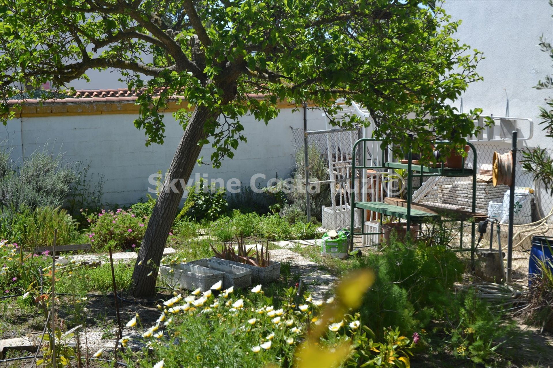 Rumah di Chiclana de la Frontera, Andalucía 10208876