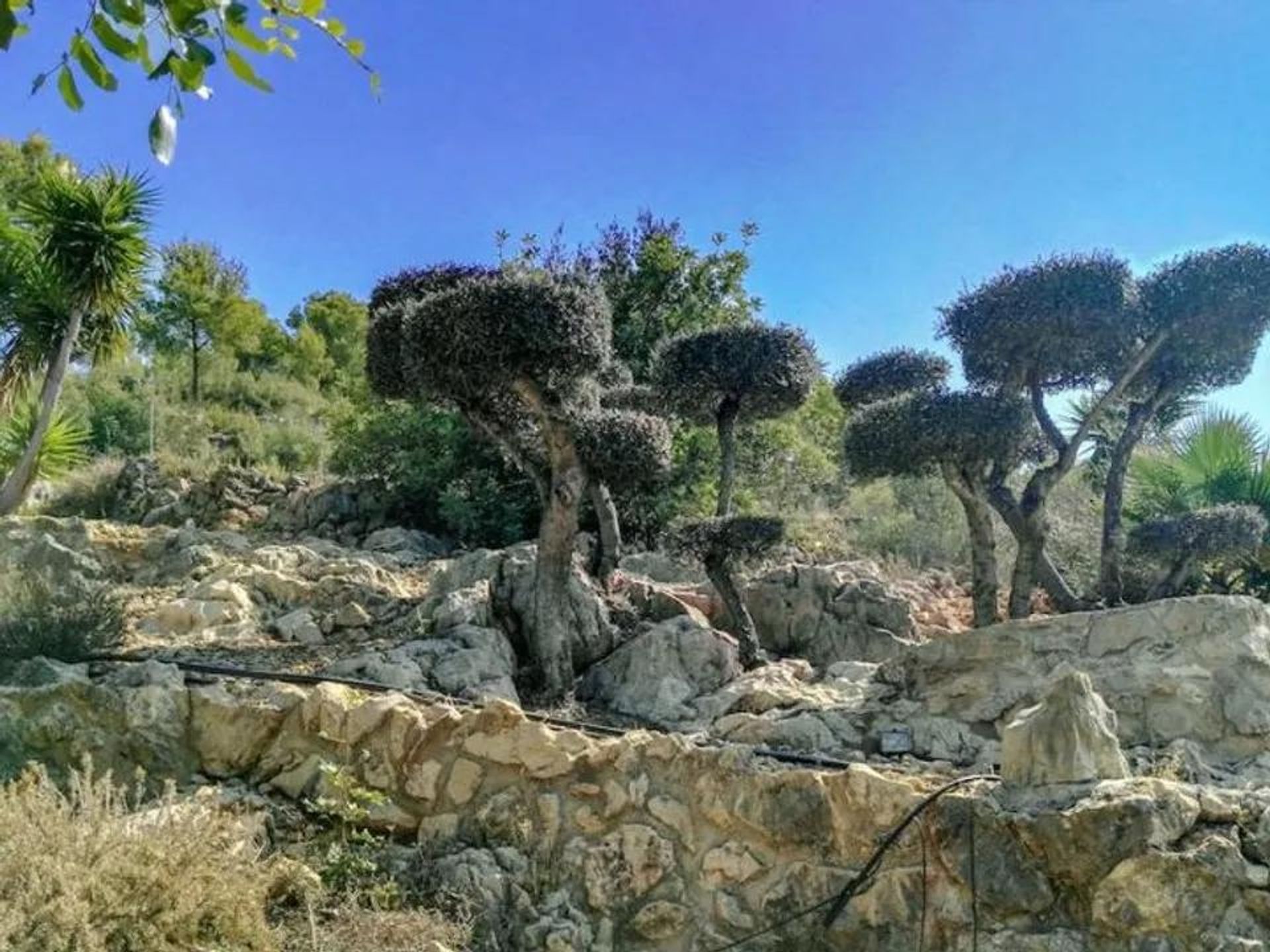 House in Dénia, Valencian Community 10210830