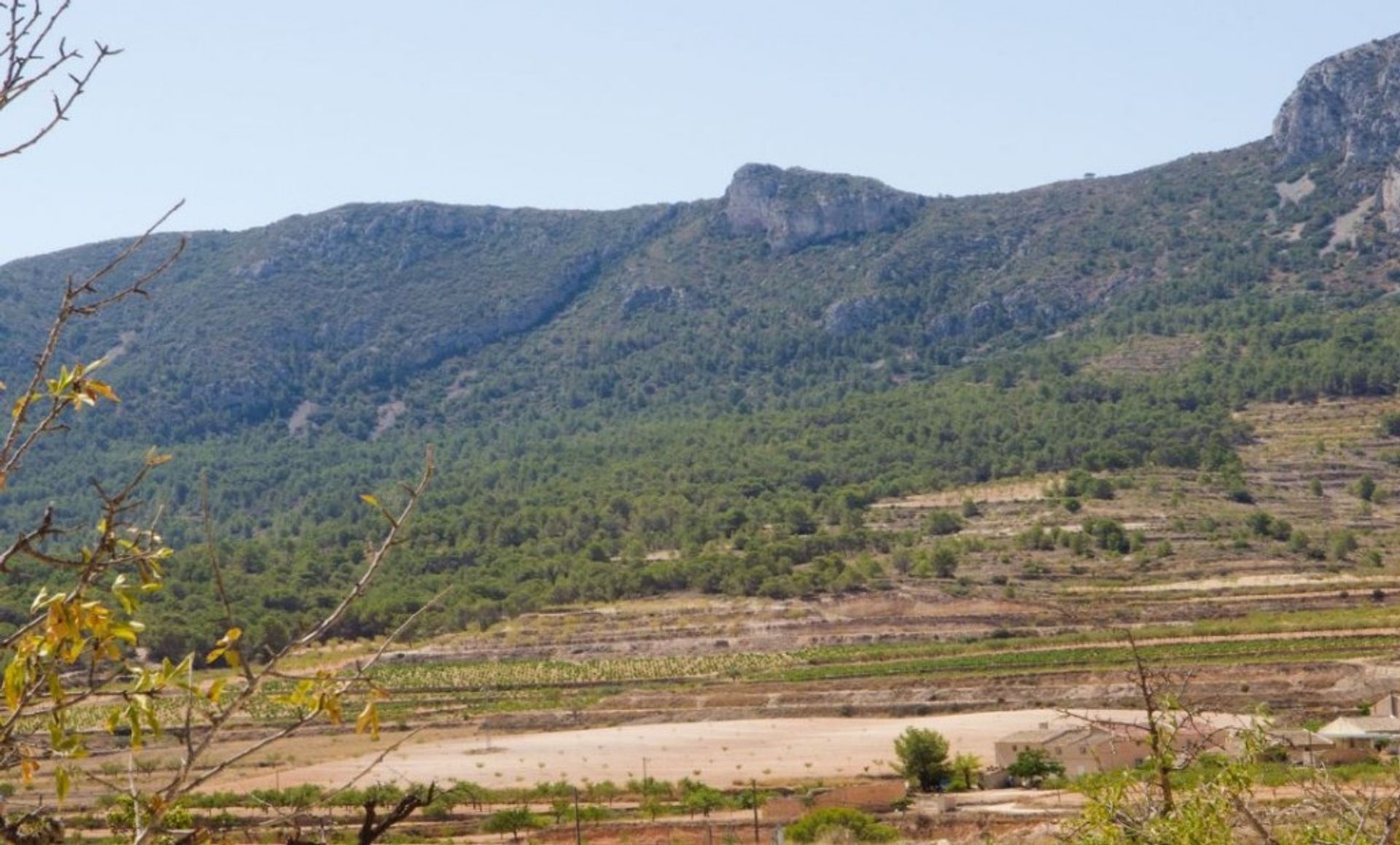 Hus i El Fondó de les Neus, Valencian Community 10211442