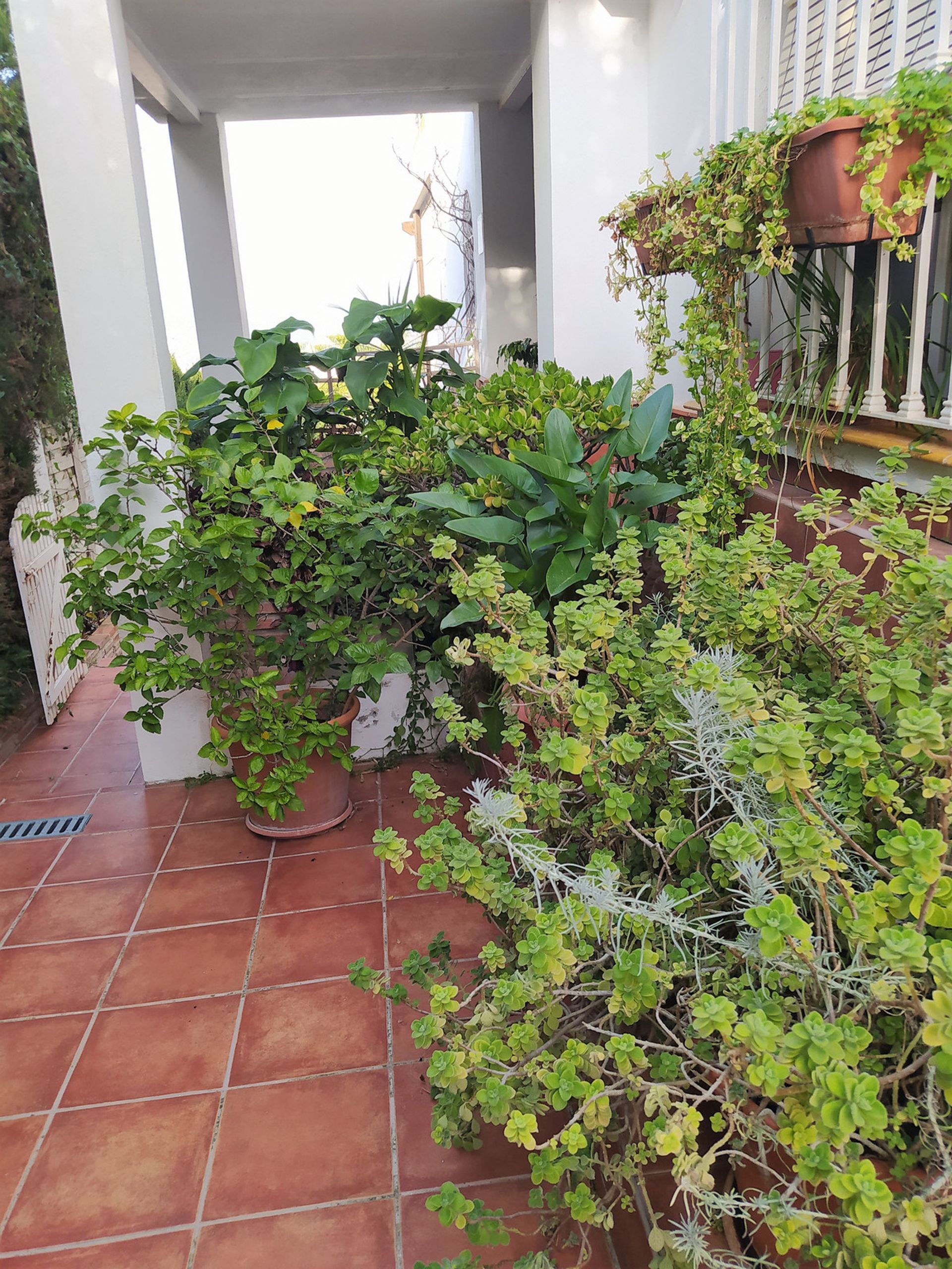 Huis in Alhaurín de la Torre, Andalusia 10211648