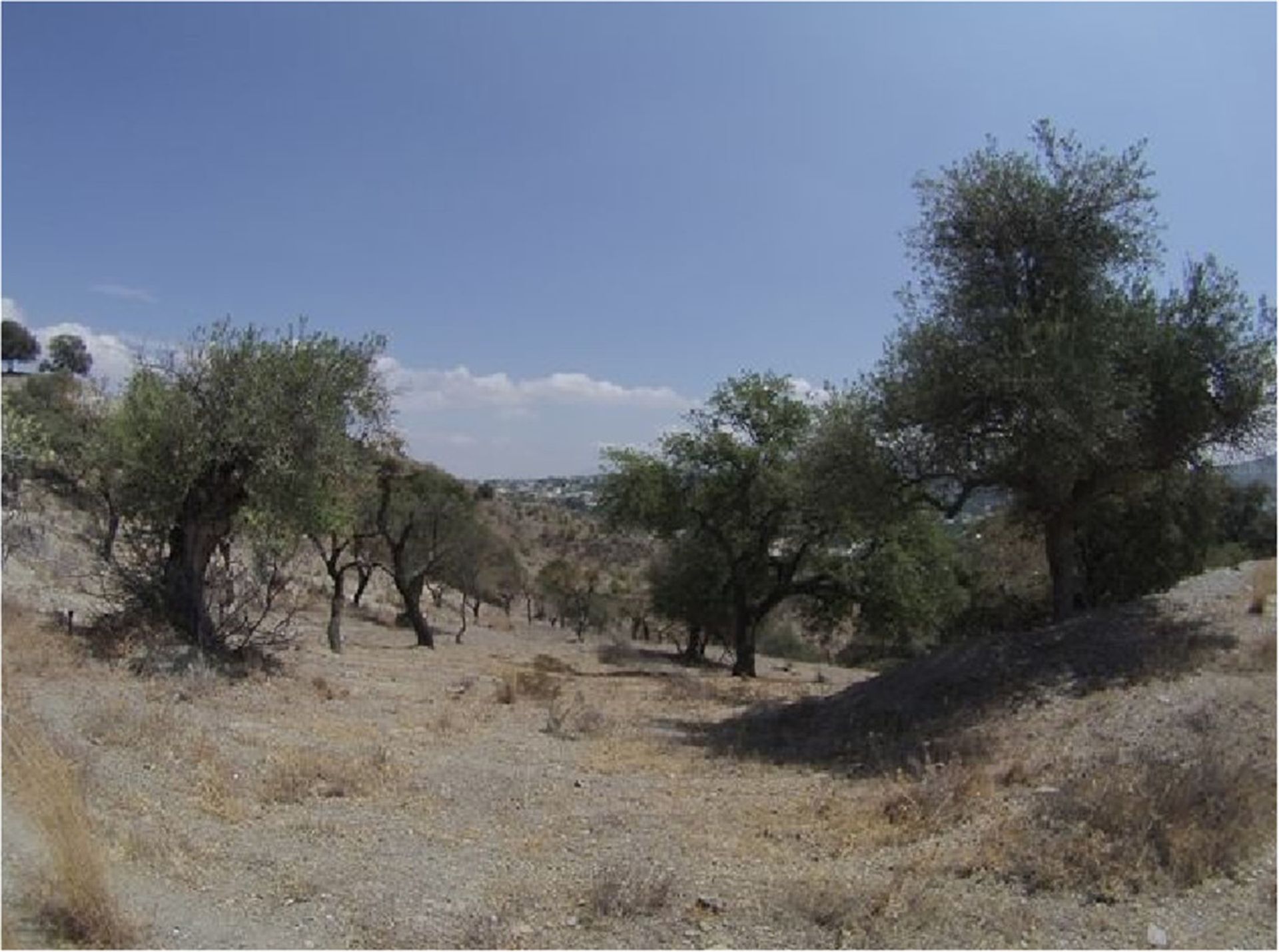 Tanah dalam Coín, Andalusia 10211807