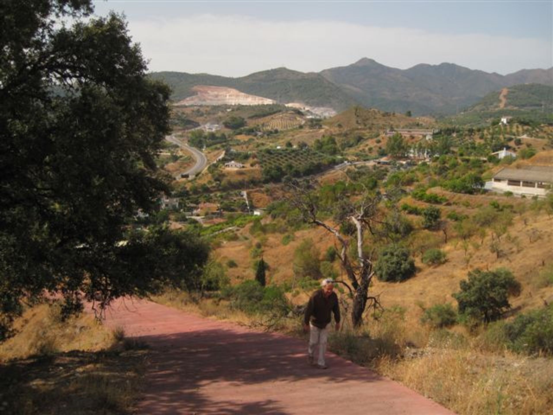 Tanah dalam Coín, Andalusia 10211807