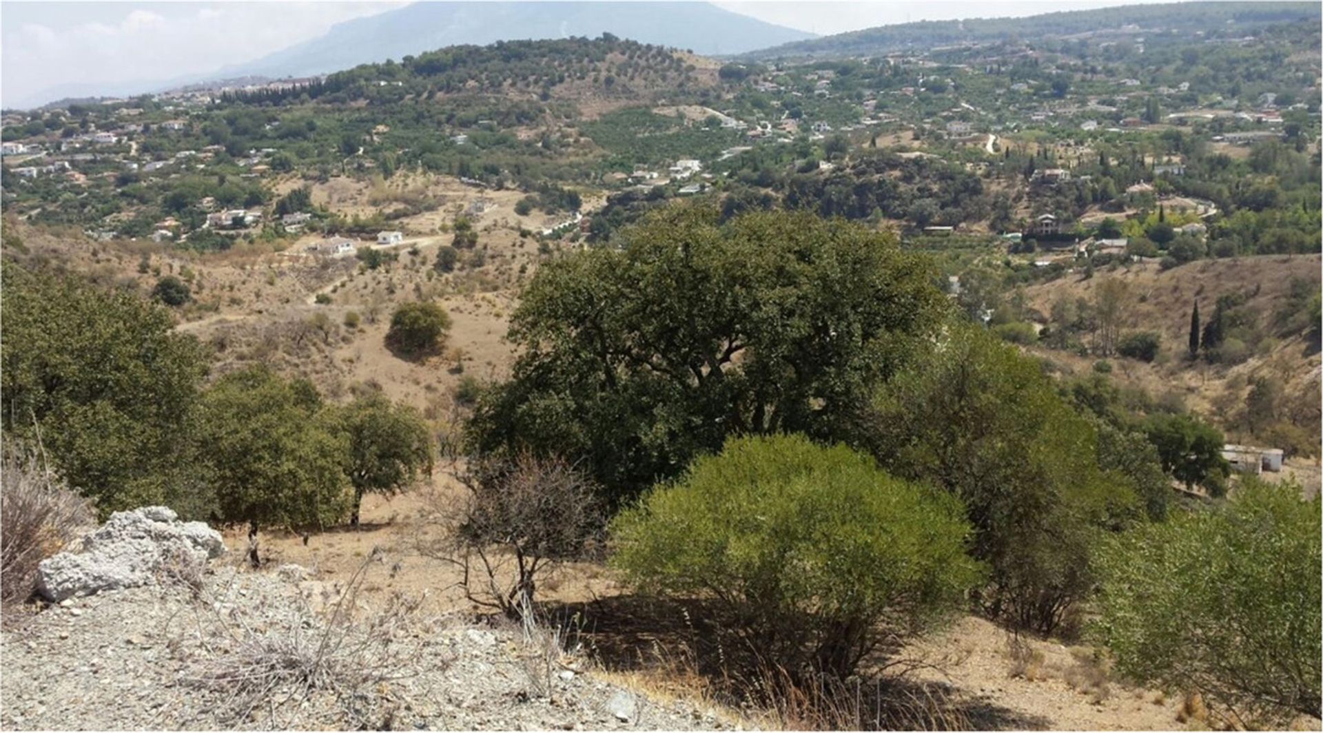 Tanah dalam Coín, Andalusia 10211807