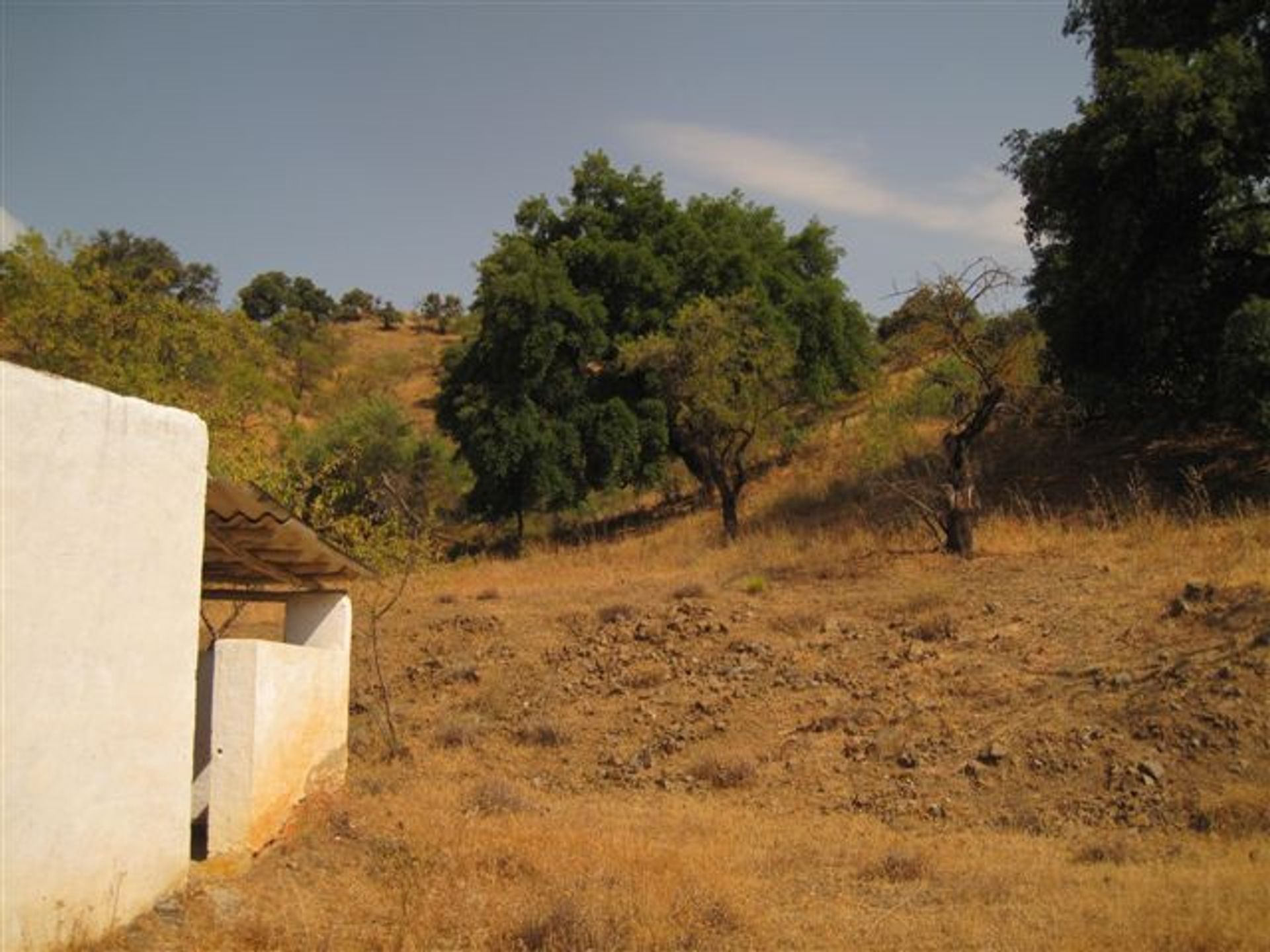 Tanah dalam Coín, Andalusia 10211807