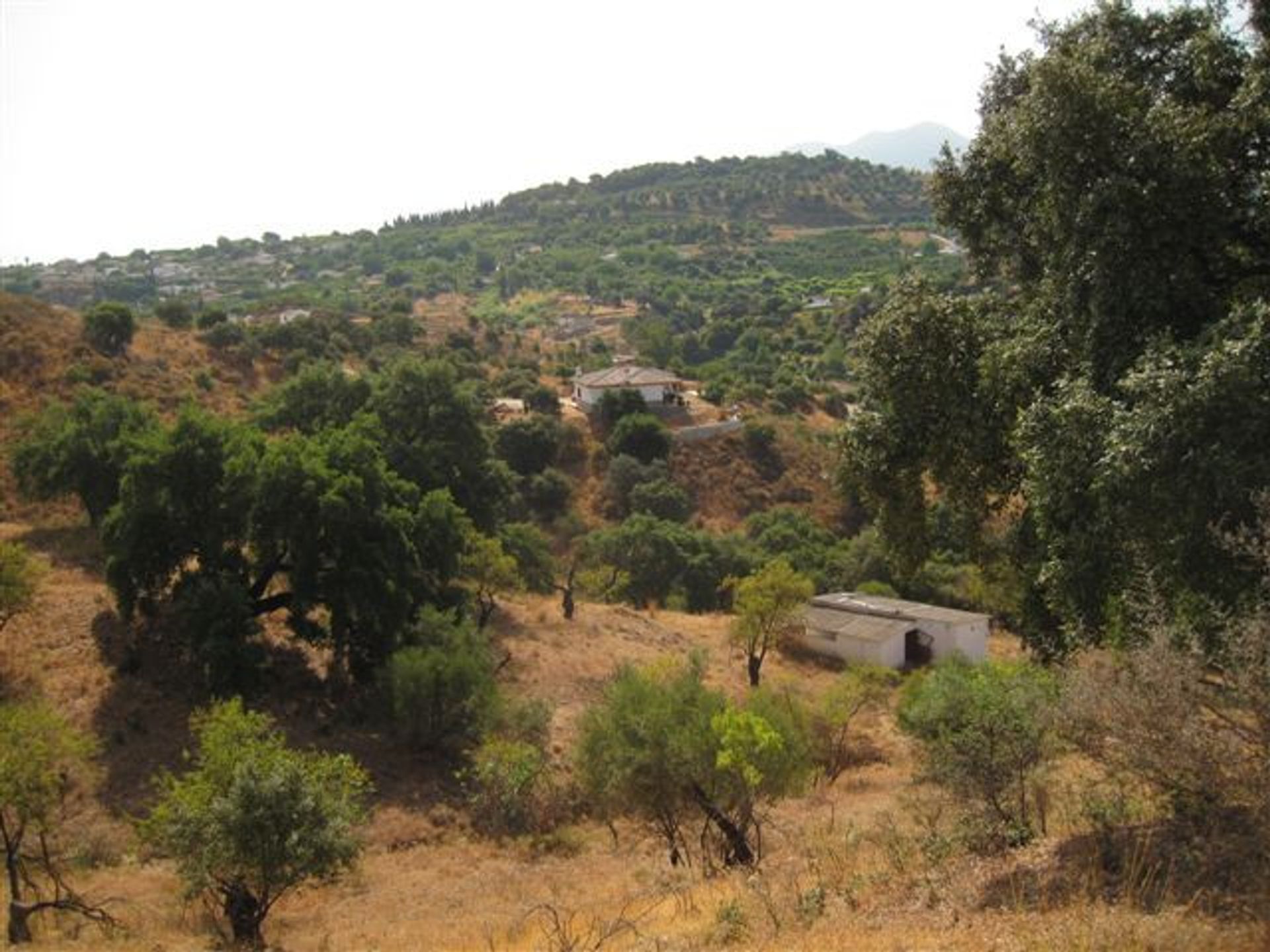 Tanah dalam Coín, Andalusia 10211807