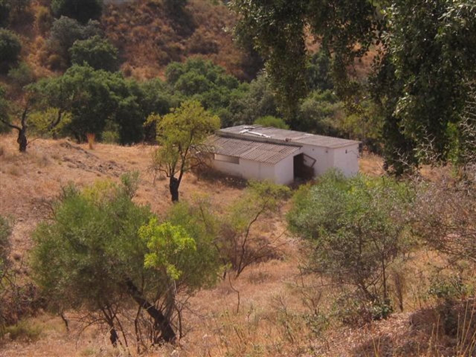 Tanah dalam Coín, Andalusia 10211807