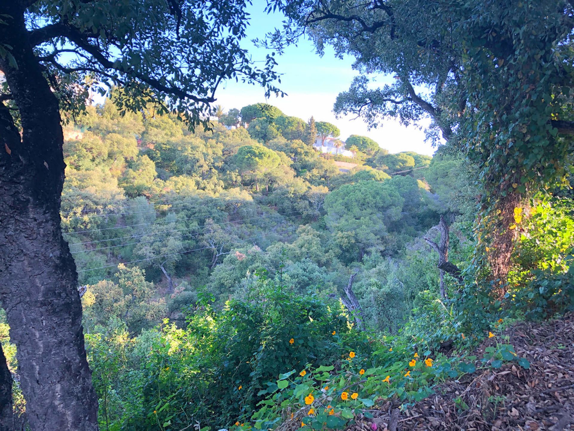 Tierra en Marbella, Andalucía 10211856