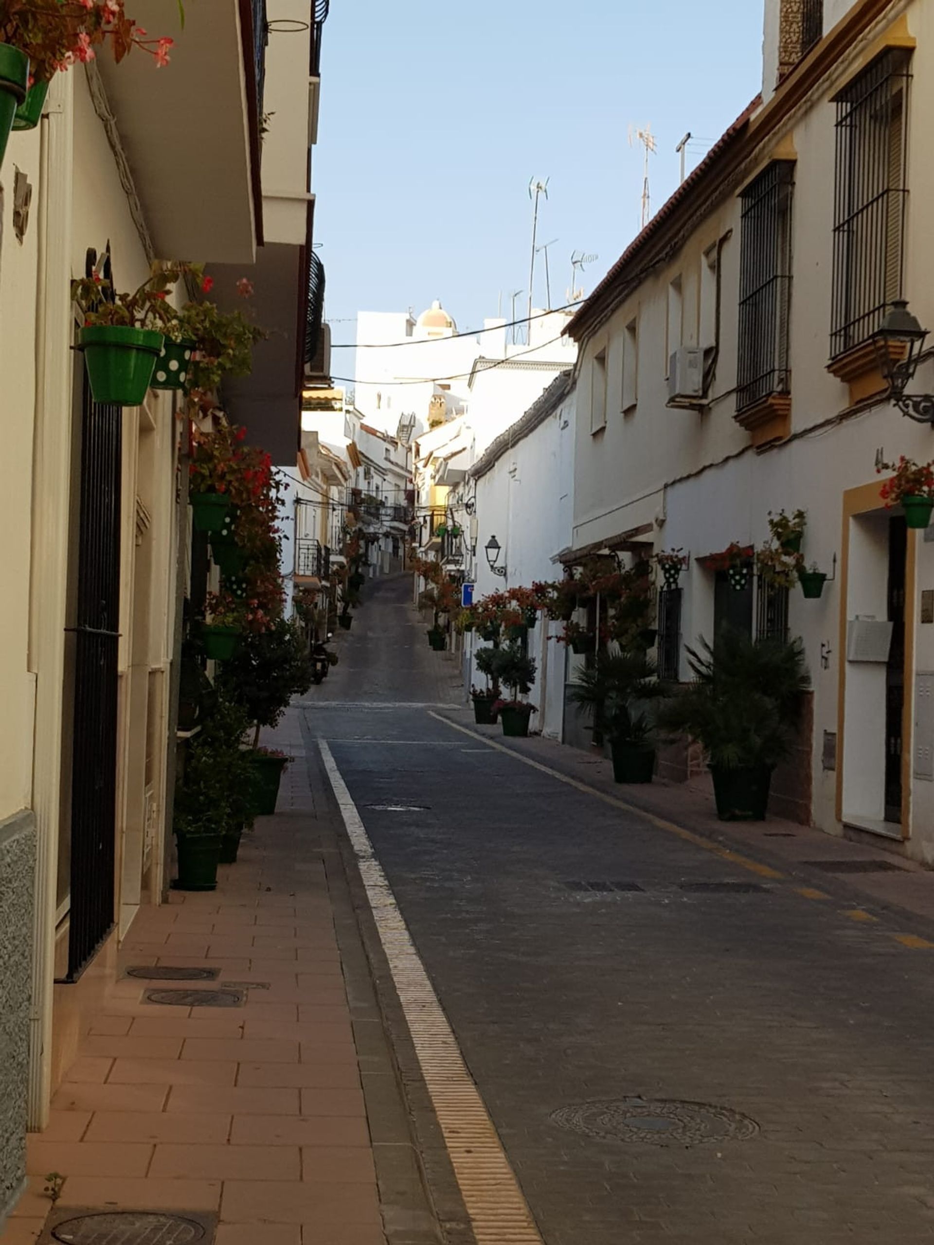 Haus im Estepona, Andalucía 10211916