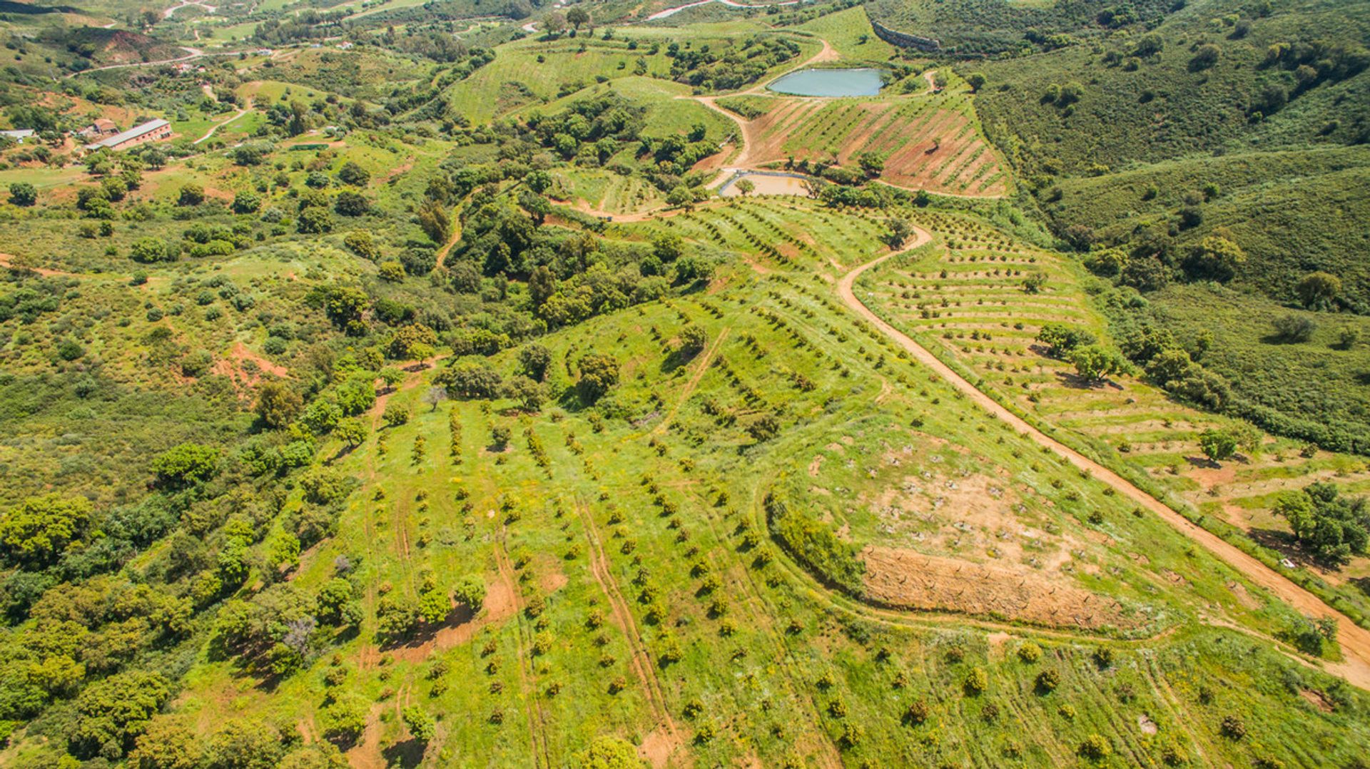 Land i , Andalucía 10212013