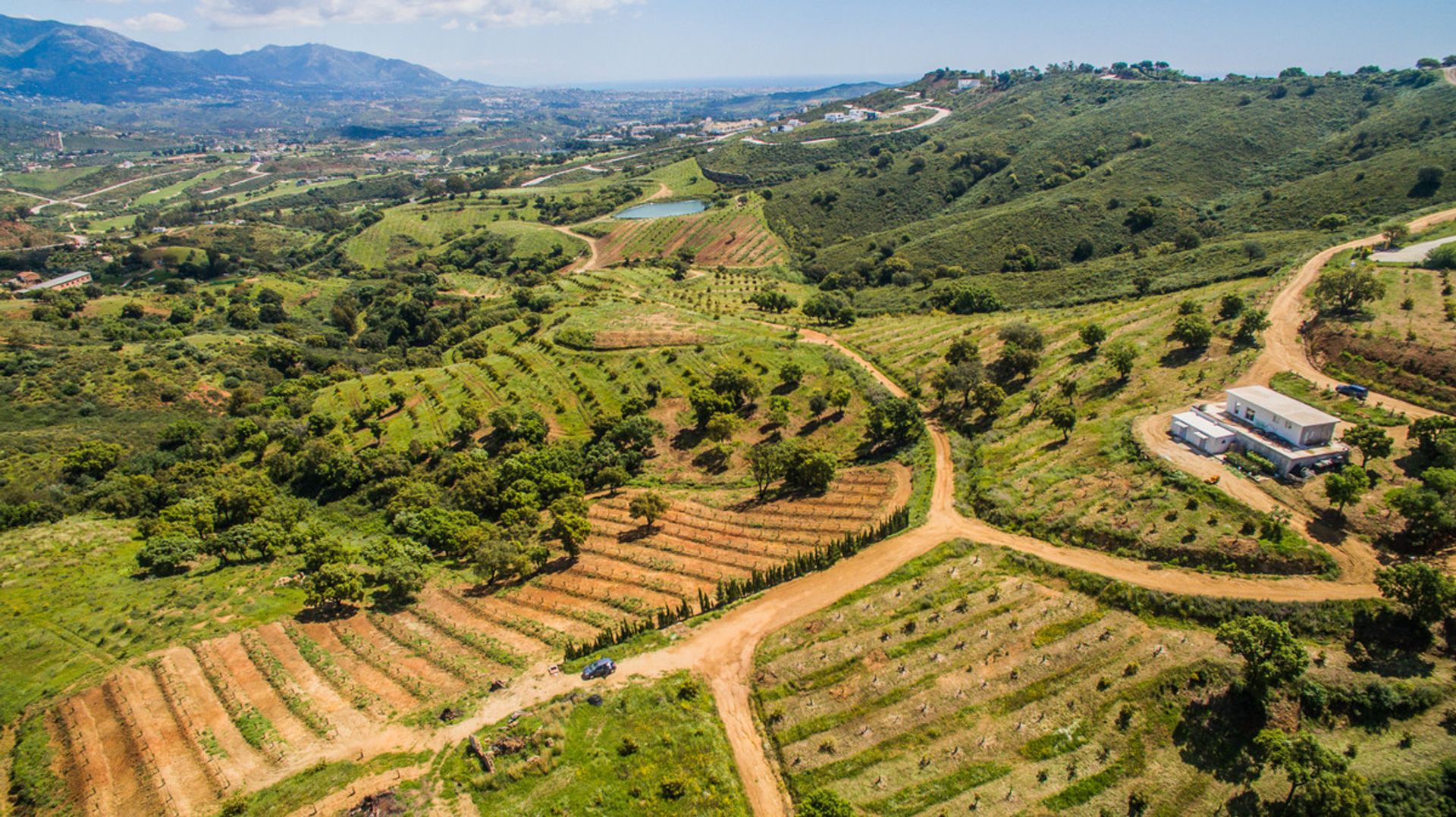 Land i , Andalucía 10212013