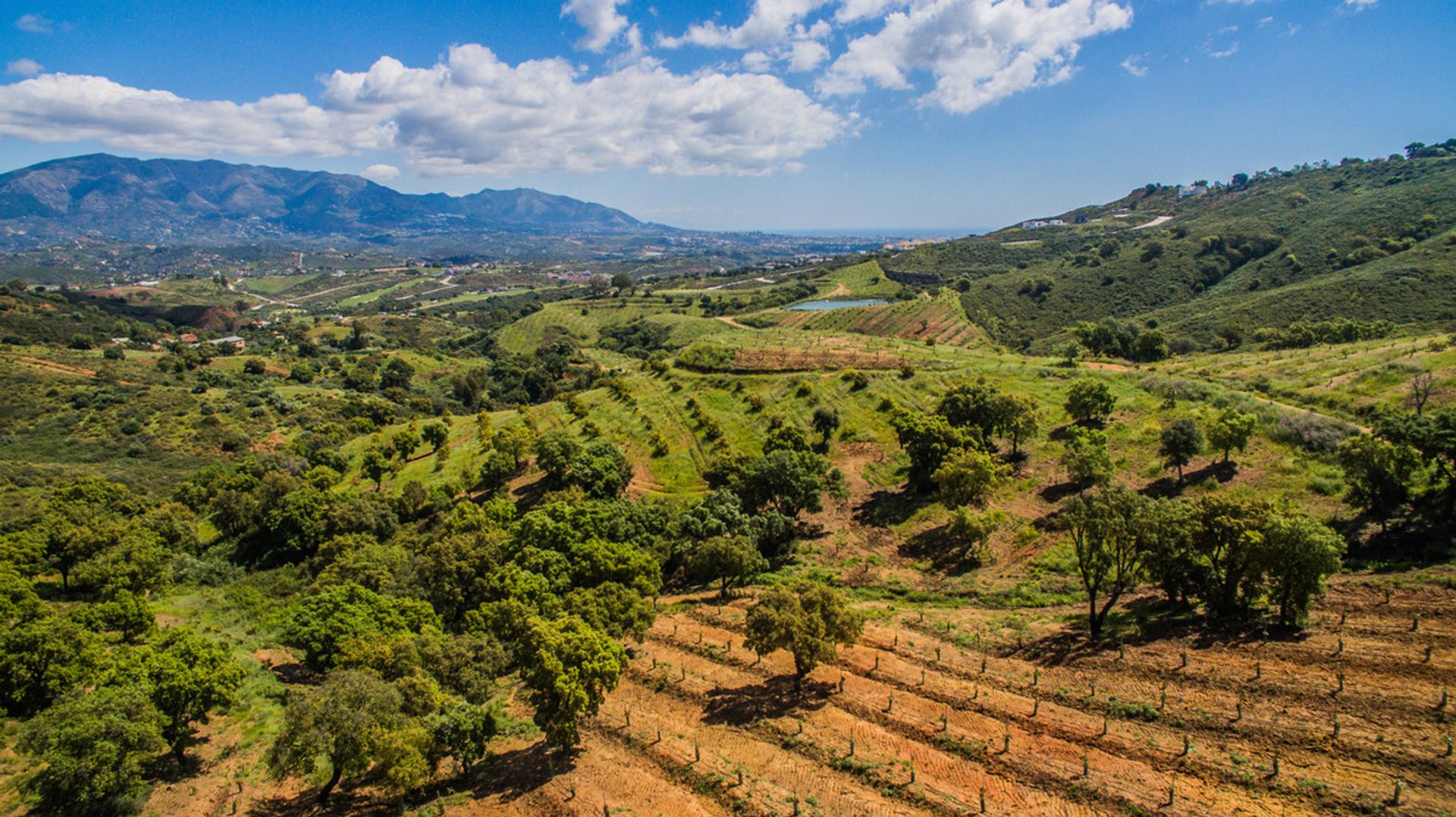 Land i Fuengirola, Andalusia 10212013