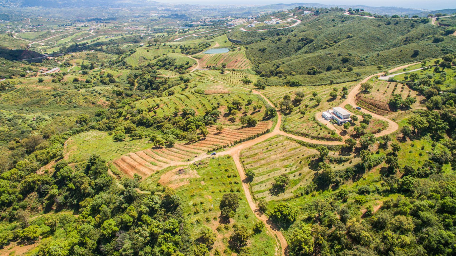 Land i , Andalucía 10212013