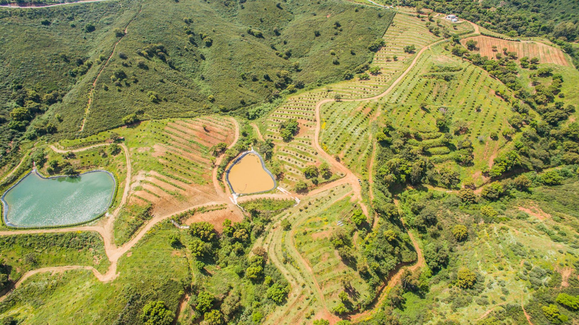 Land i , Andalucía 10212013