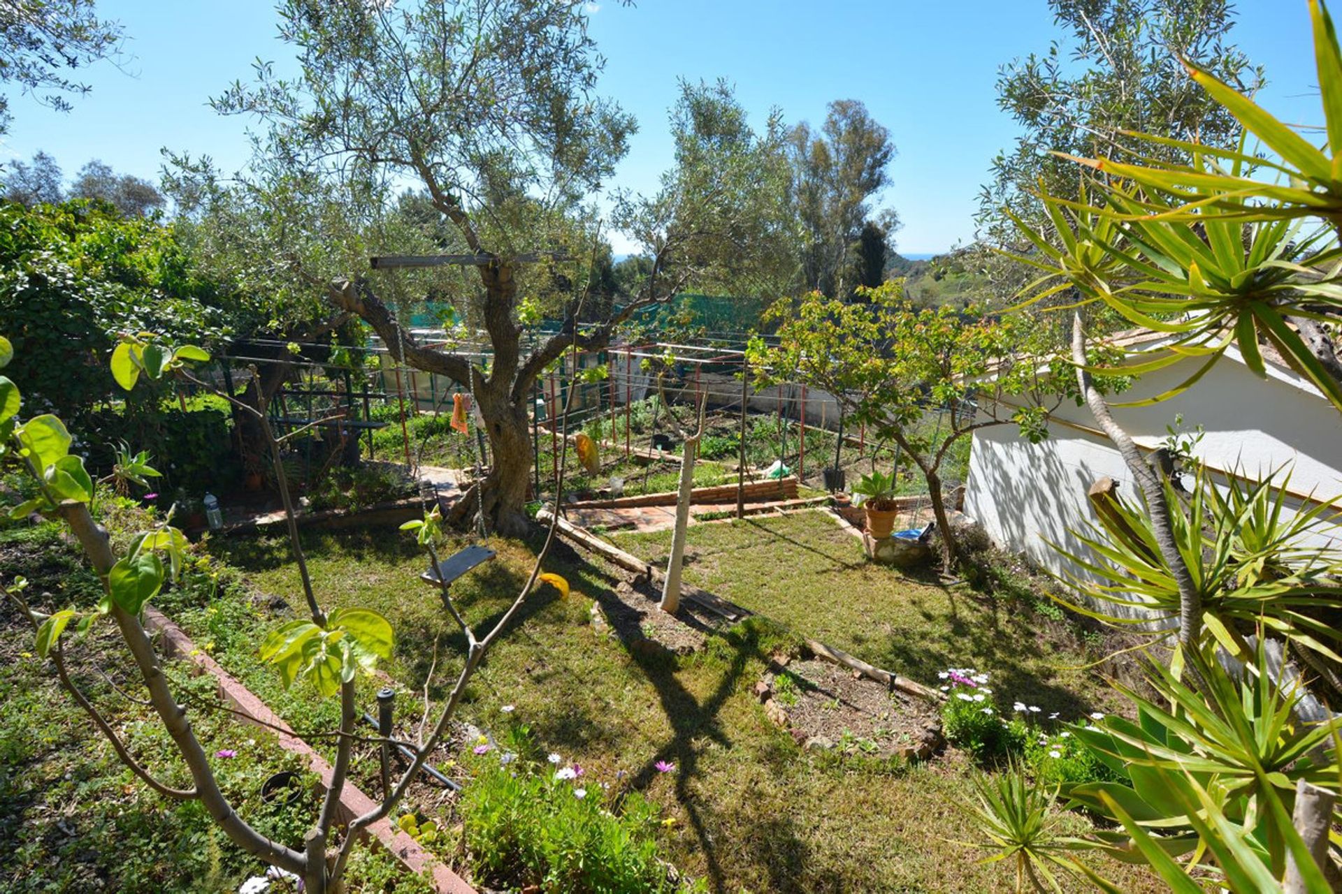 casa en , Andalucía 10212061