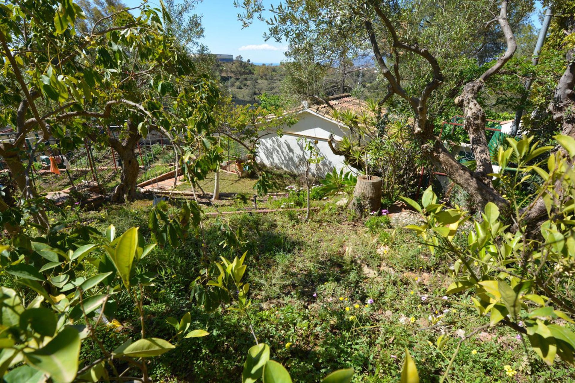 casa en , Andalucía 10212061