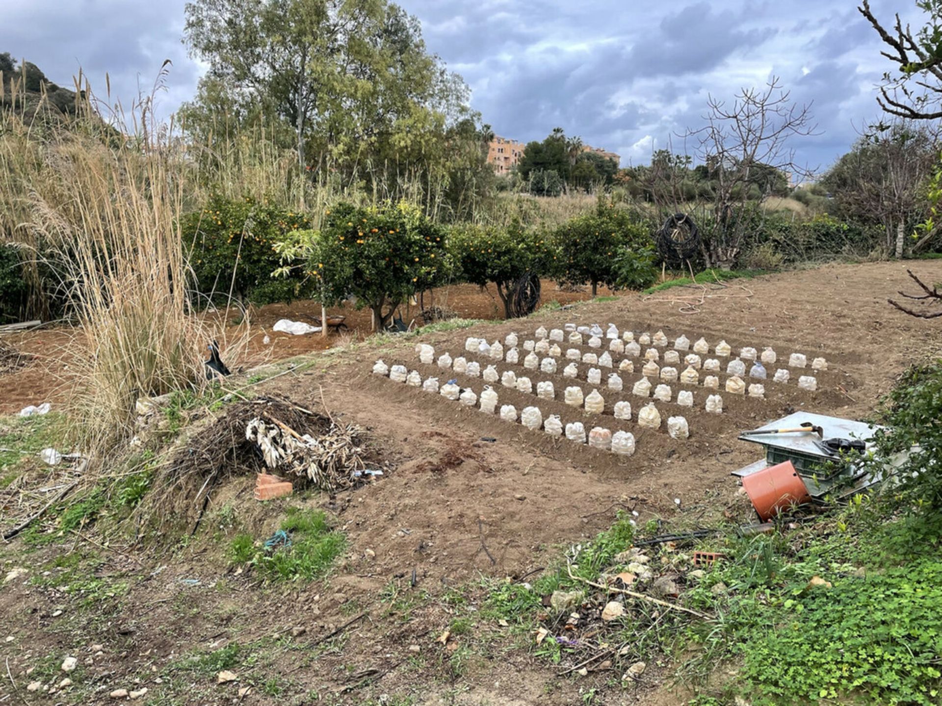 Huis in Alhaurin el Grande, Andalusië 10212192