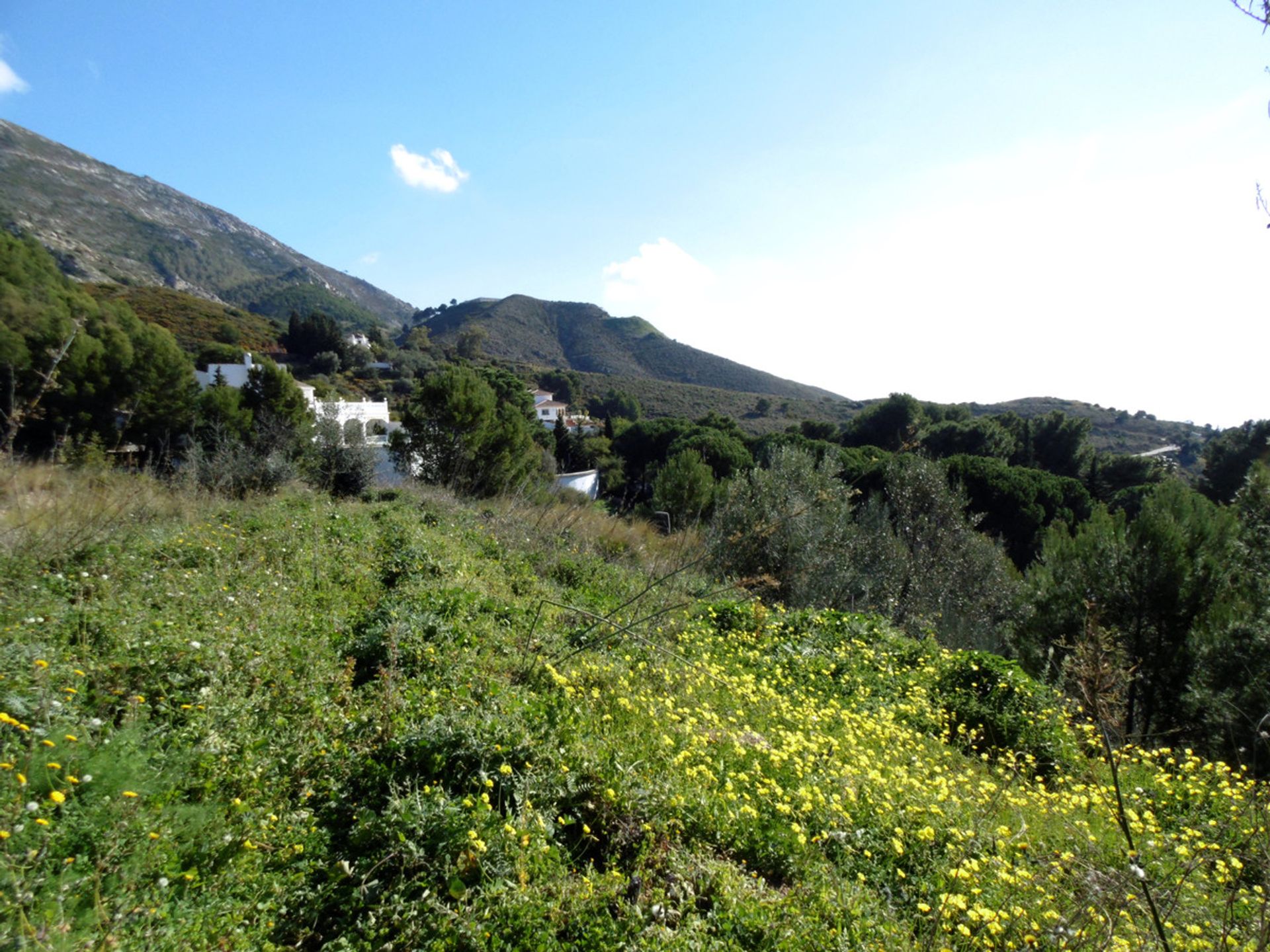 Land in Mijas, Andalusia 10212202