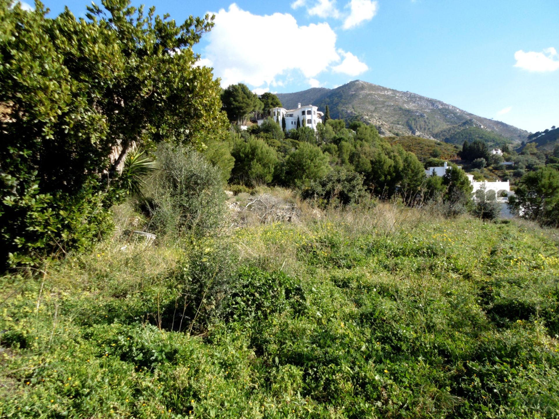 Land in Mijas, Andalusia 10212202