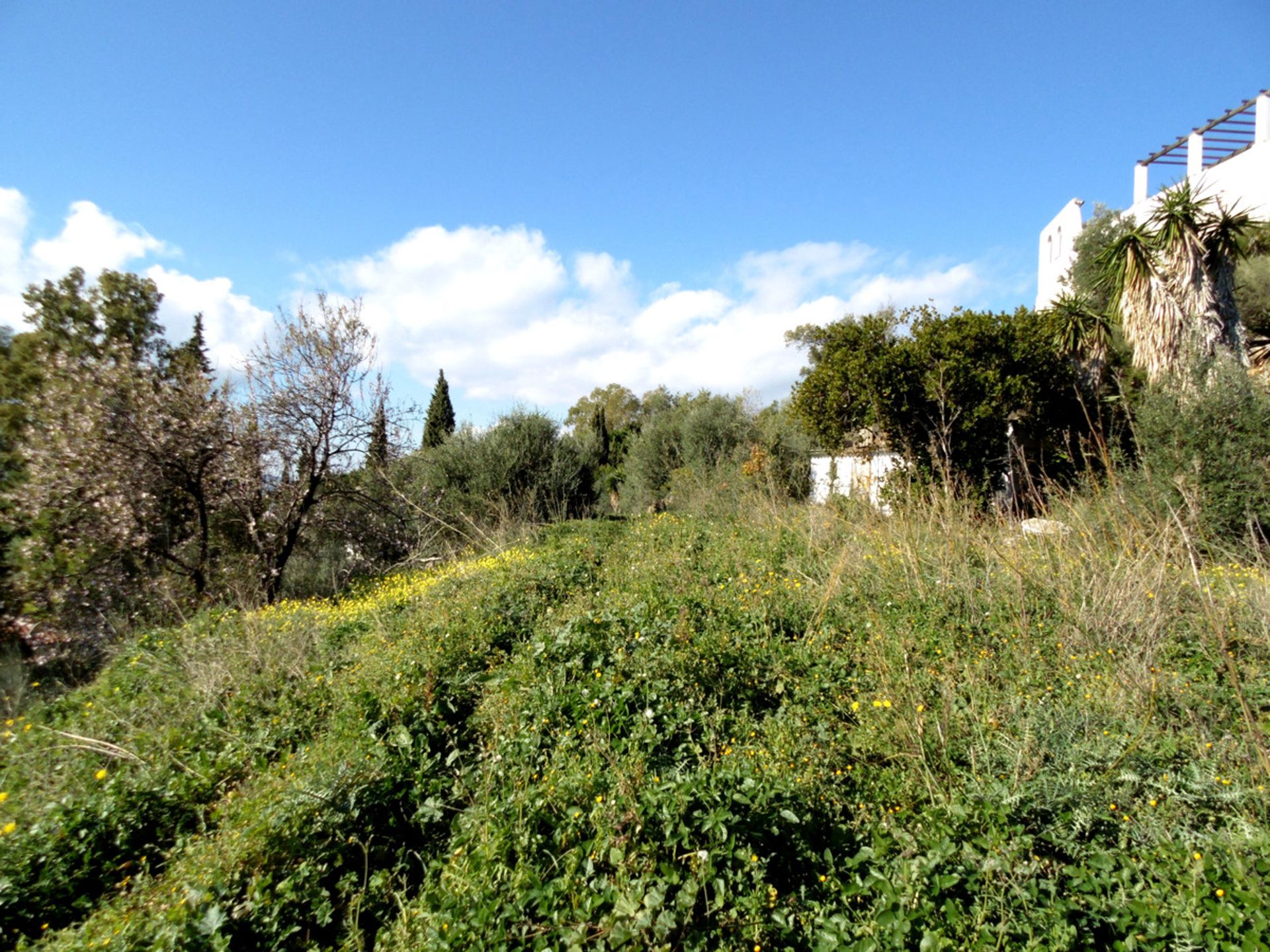 Land i Mijas, Andalusia 10212202