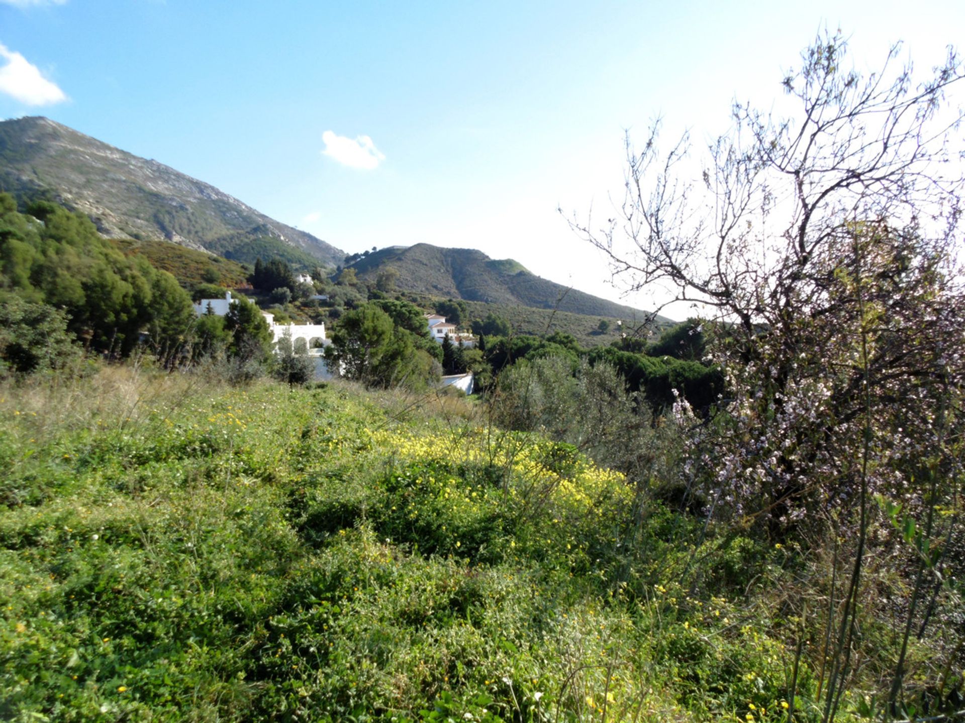 Land in Mijas, Andalusia 10212202