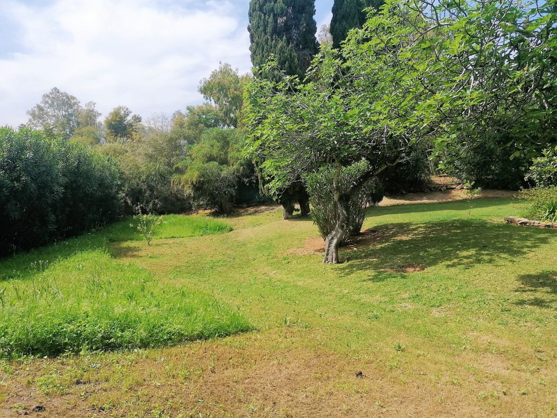 الأرض في El Angel, Andalusia 10212382