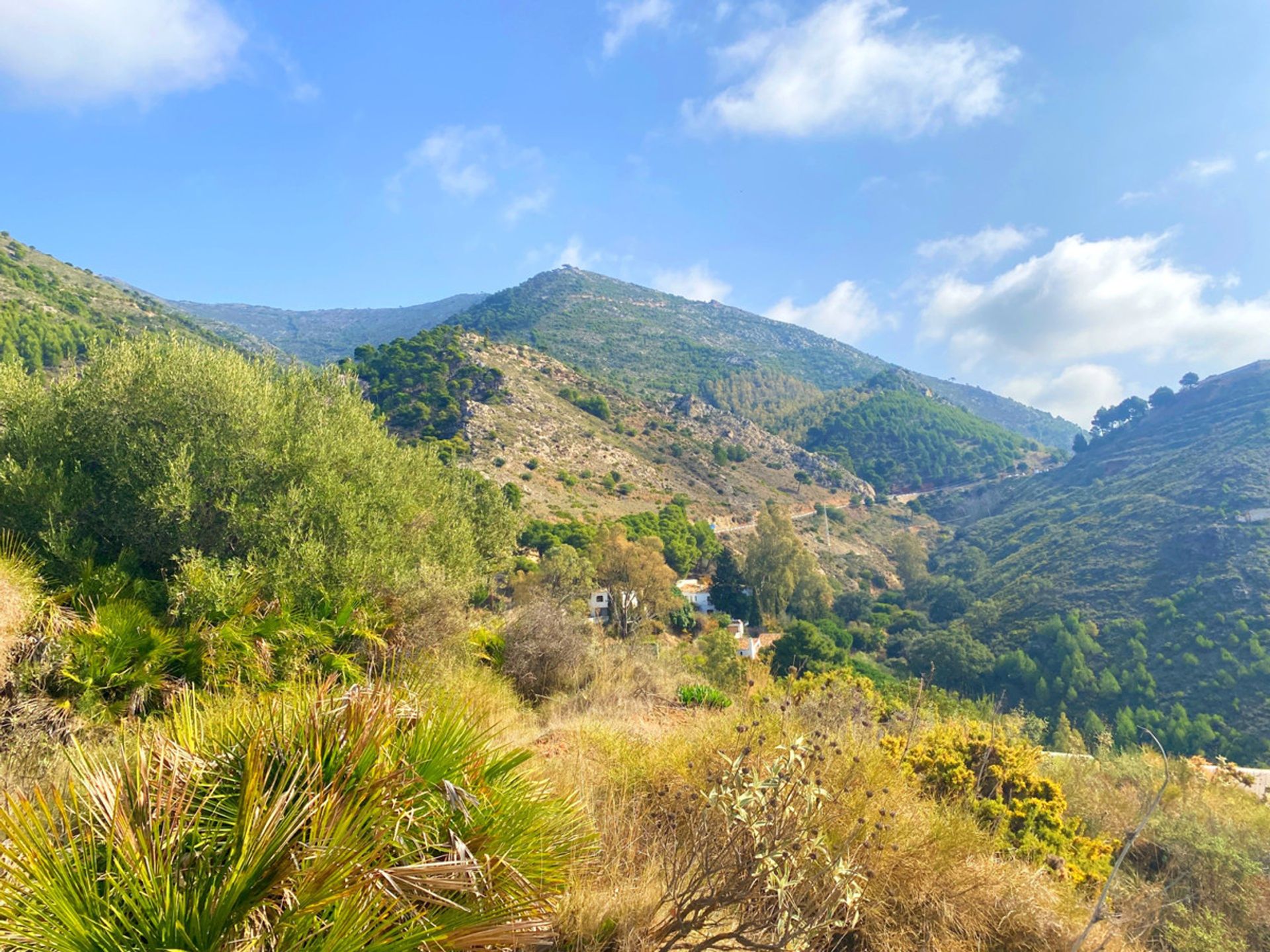 Tierra en Valtocado, Andalusia 10212412