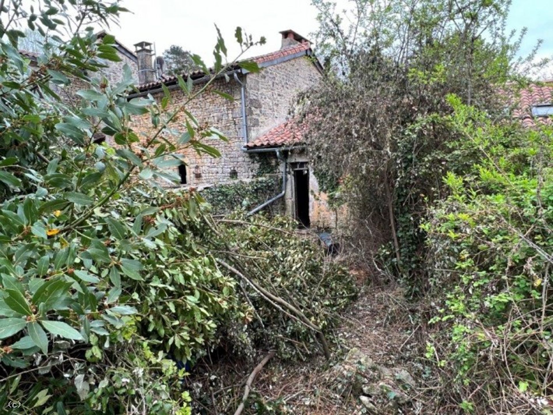 Huis in Nanteuil-en-Vallée, Nouvelle-Aquitaine 10212458