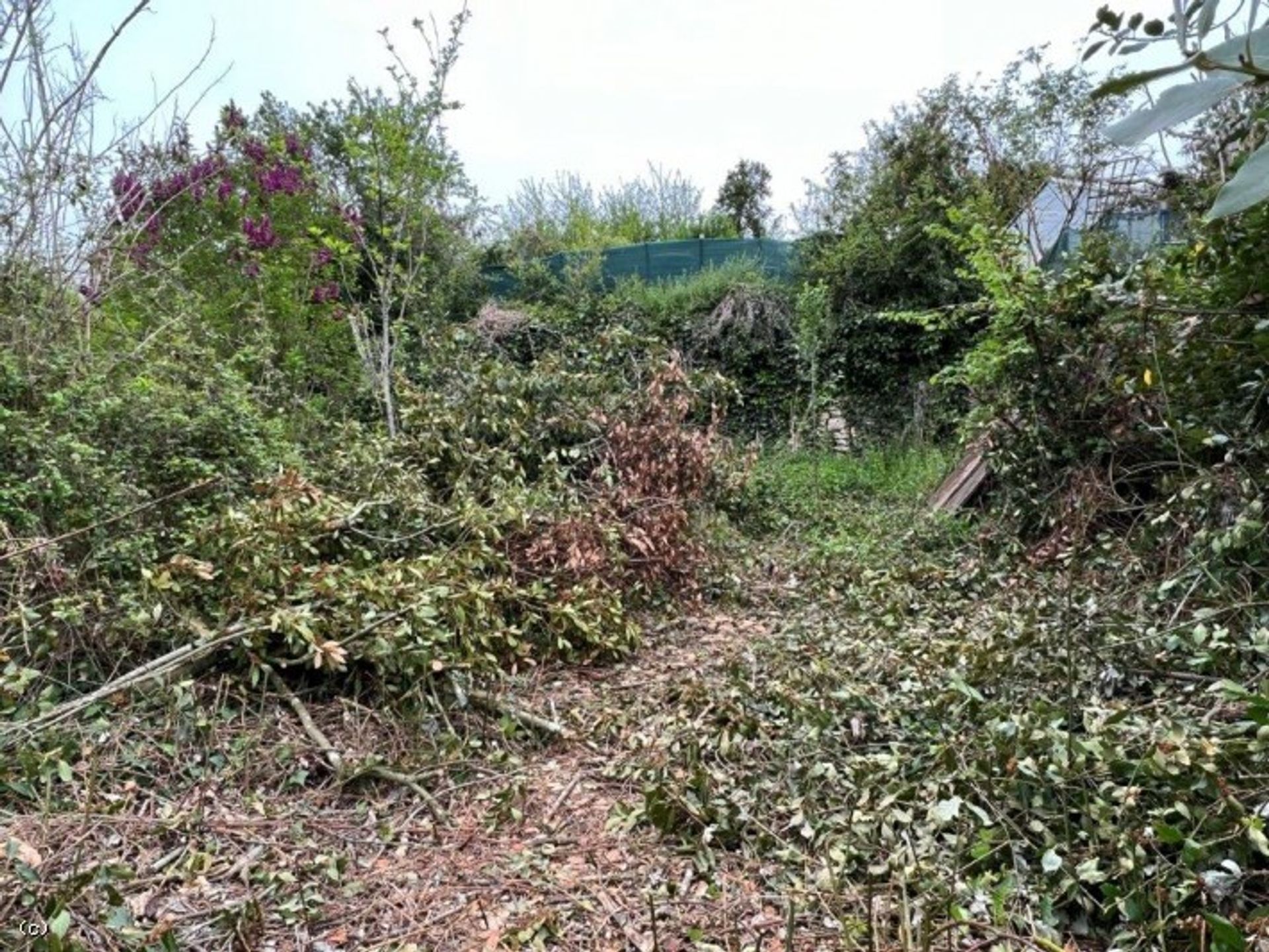 Huis in Nanteuil-en-Vallée, Nouvelle-Aquitaine 10212458