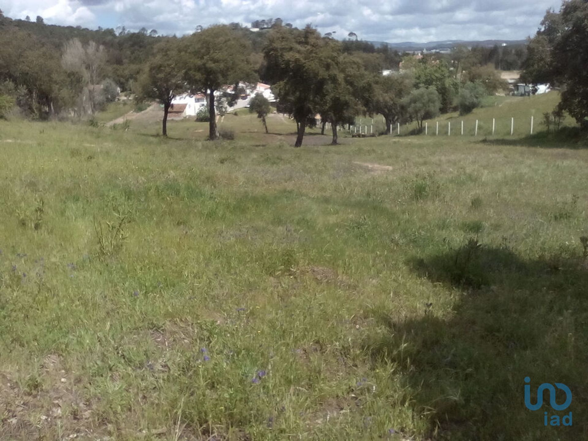 Tierra en Rio Maior, Santarem 10212651