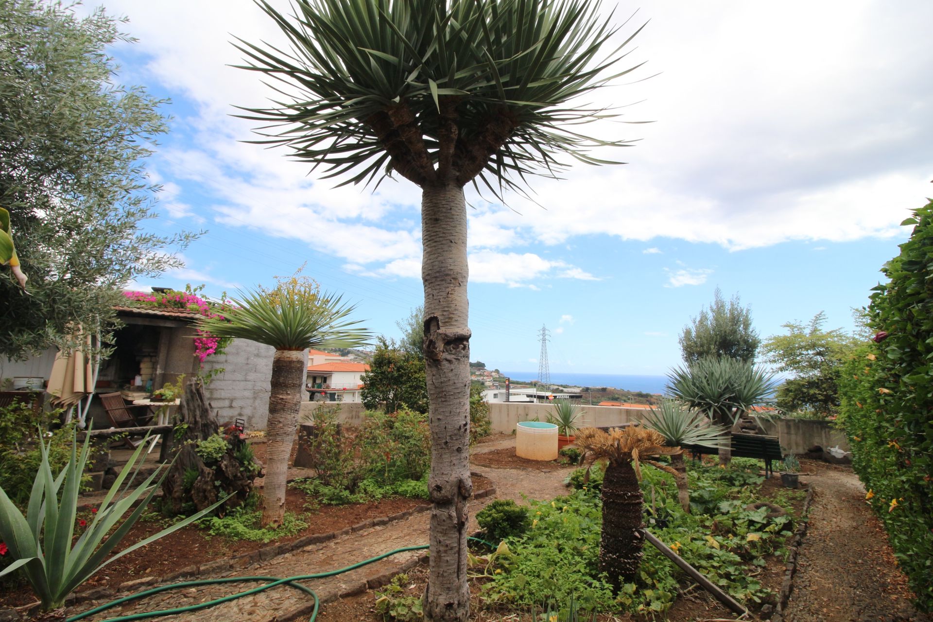 سكني في Câmara de Lobos, Madeira 10214008