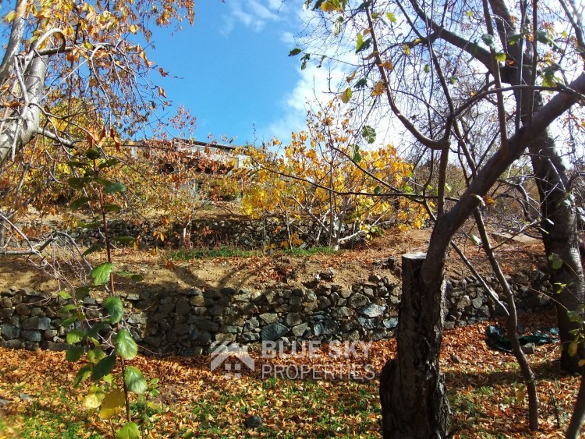 casa en Prodromos, Nicosia 10214083