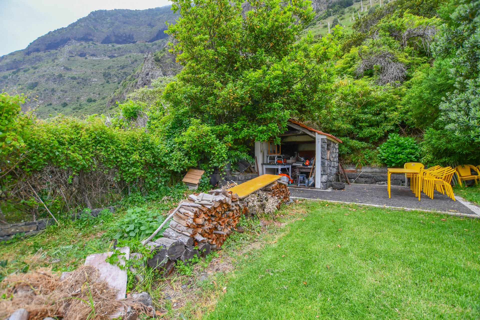 Haus im São Vicente, Madeira 10214210