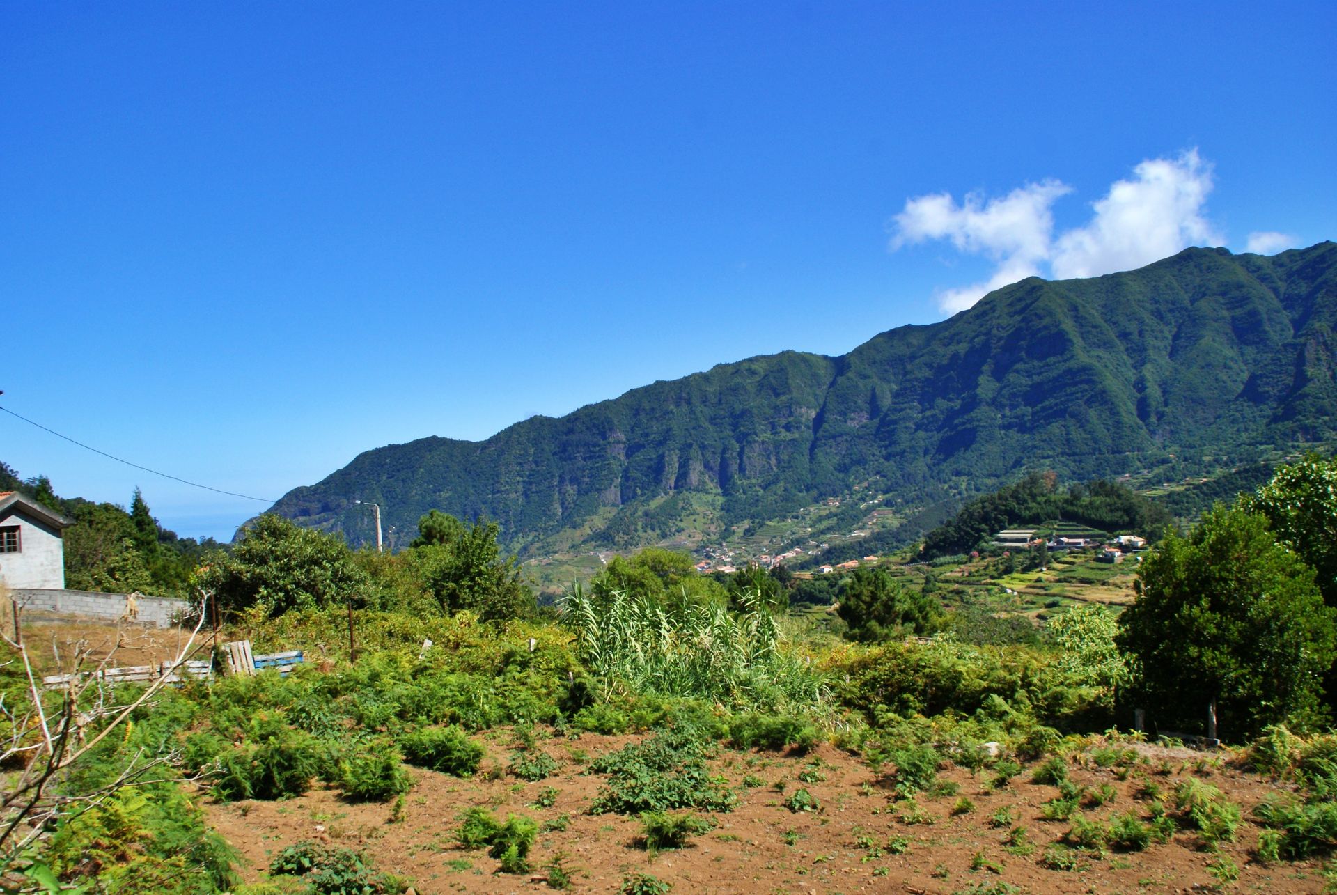 rumah dalam Achada de Cima, Madeira 10214227