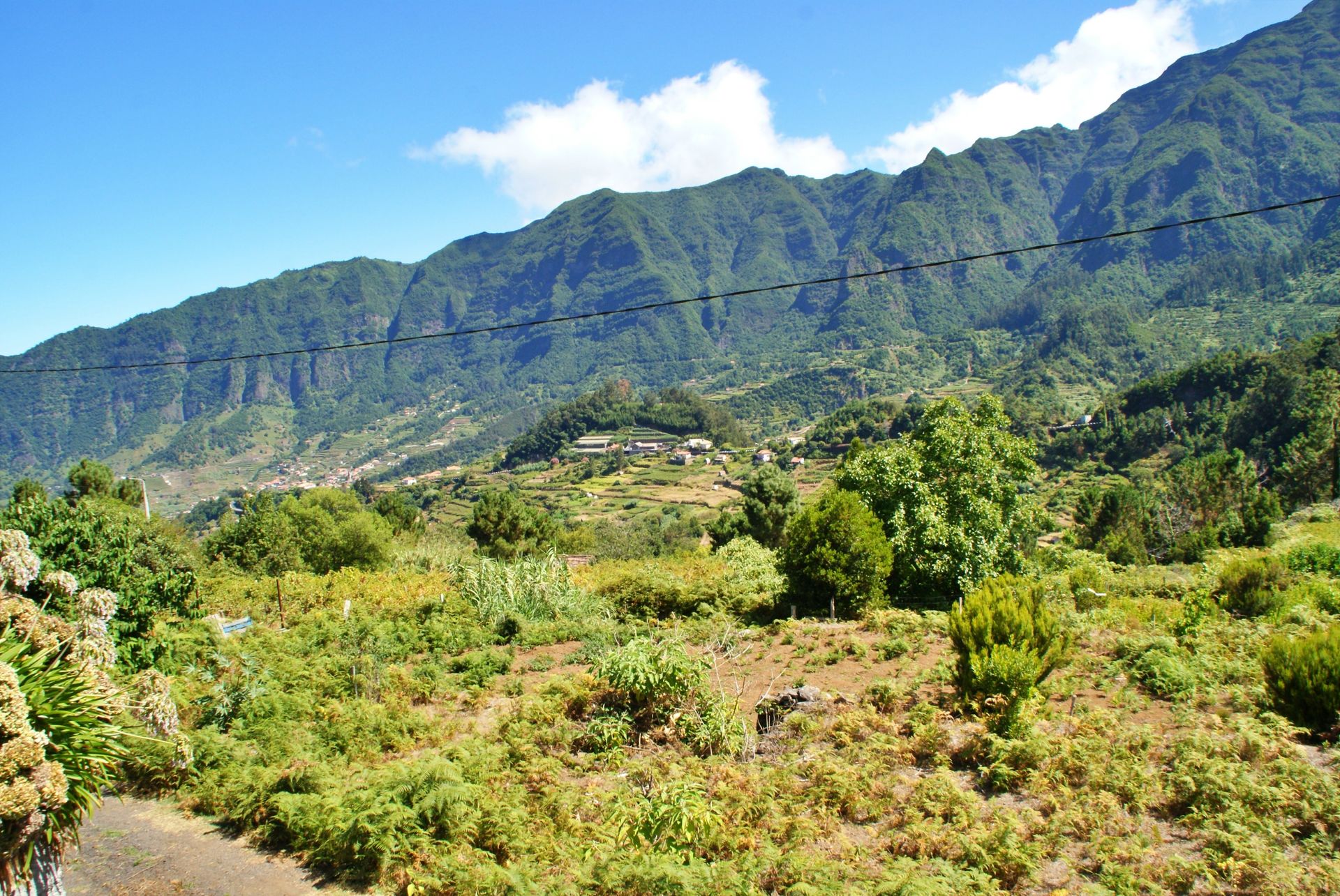 Hus i Arco da Calheta, Madeira 10214227