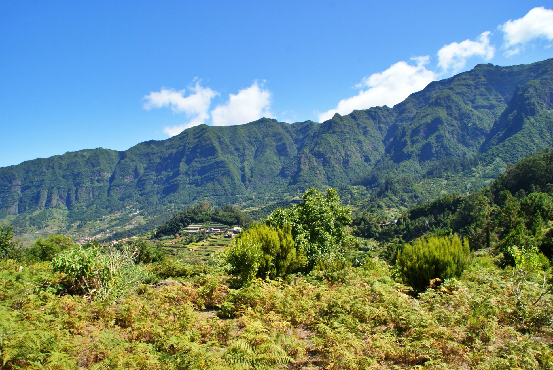 rumah dalam Achada de Cima, Madeira 10214227