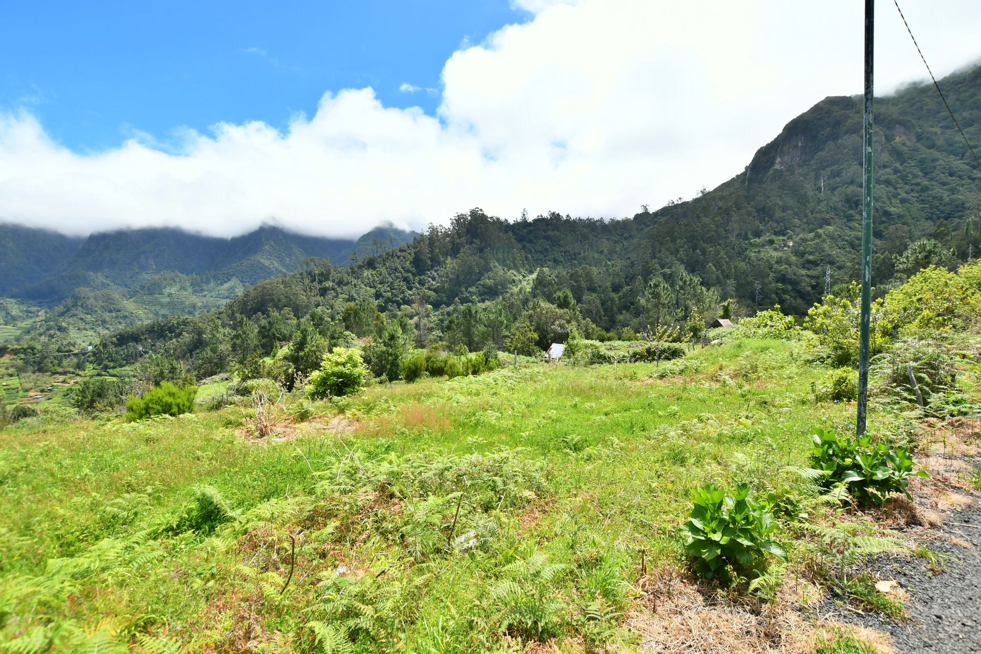 Hus i Arco da Calheta, Madeira 10214227