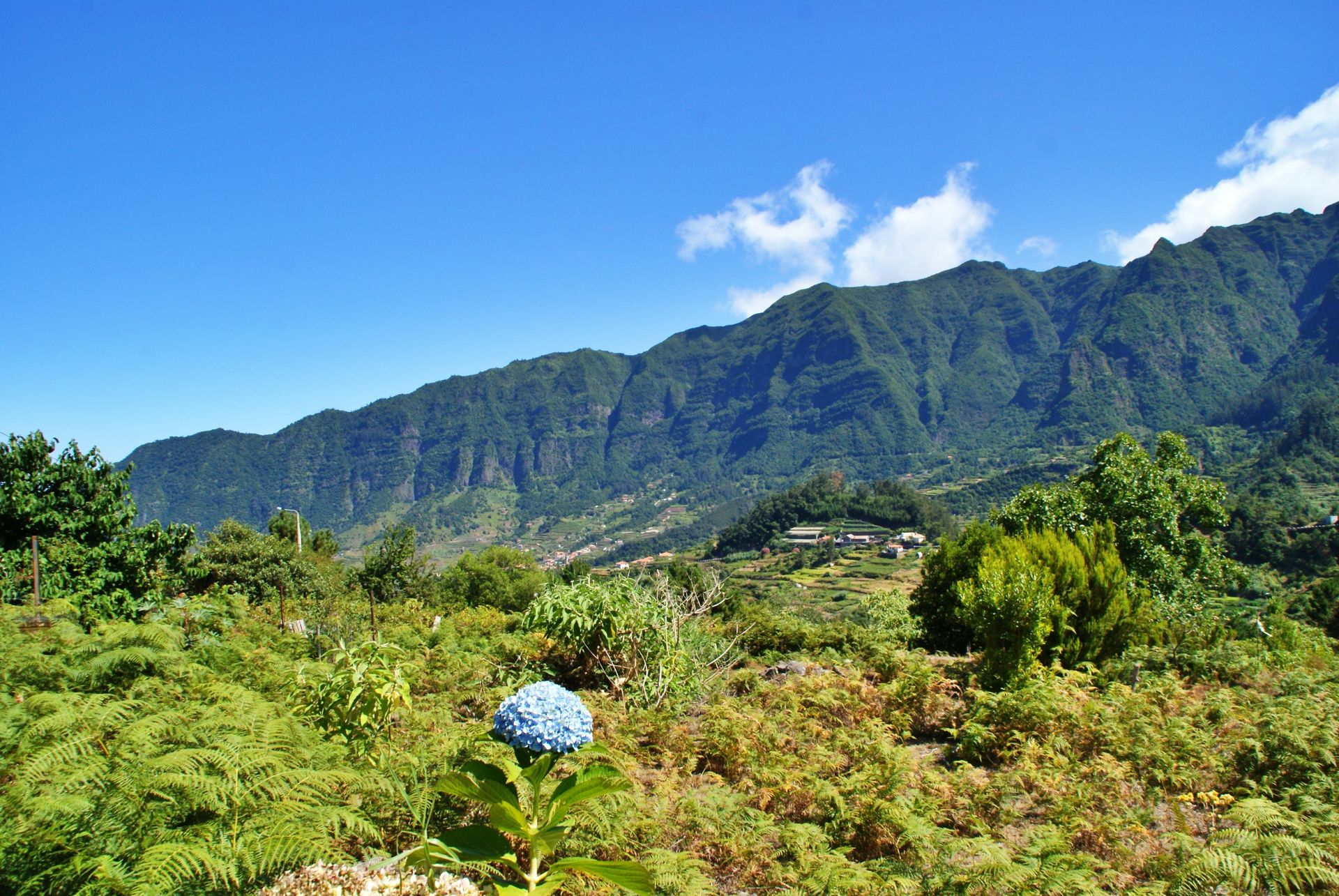 rumah dalam Achada de Cima, Madeira 10214227