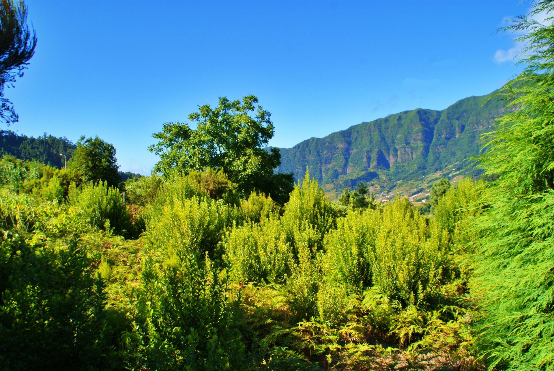 rumah dalam Achada de Cima, Madeira 10214230