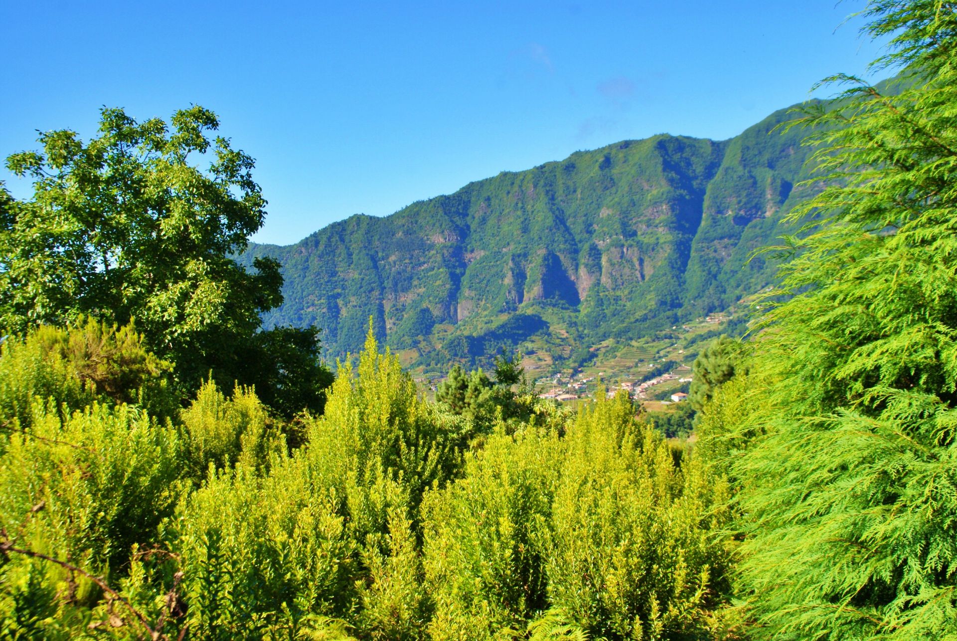 casa no Arco da Calheta, Madeira 10214230