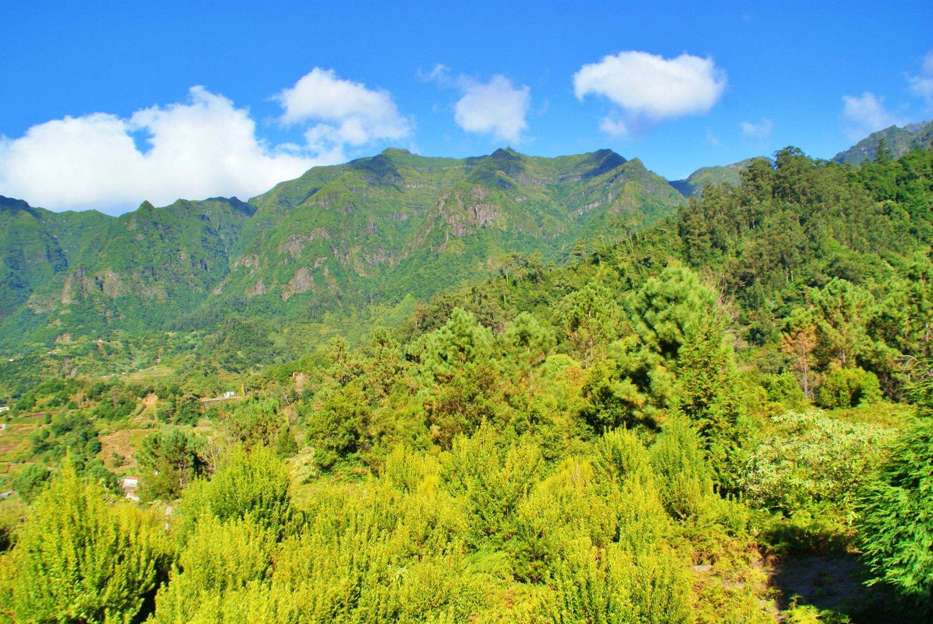 rumah dalam Achada de Cima, Madeira 10214230