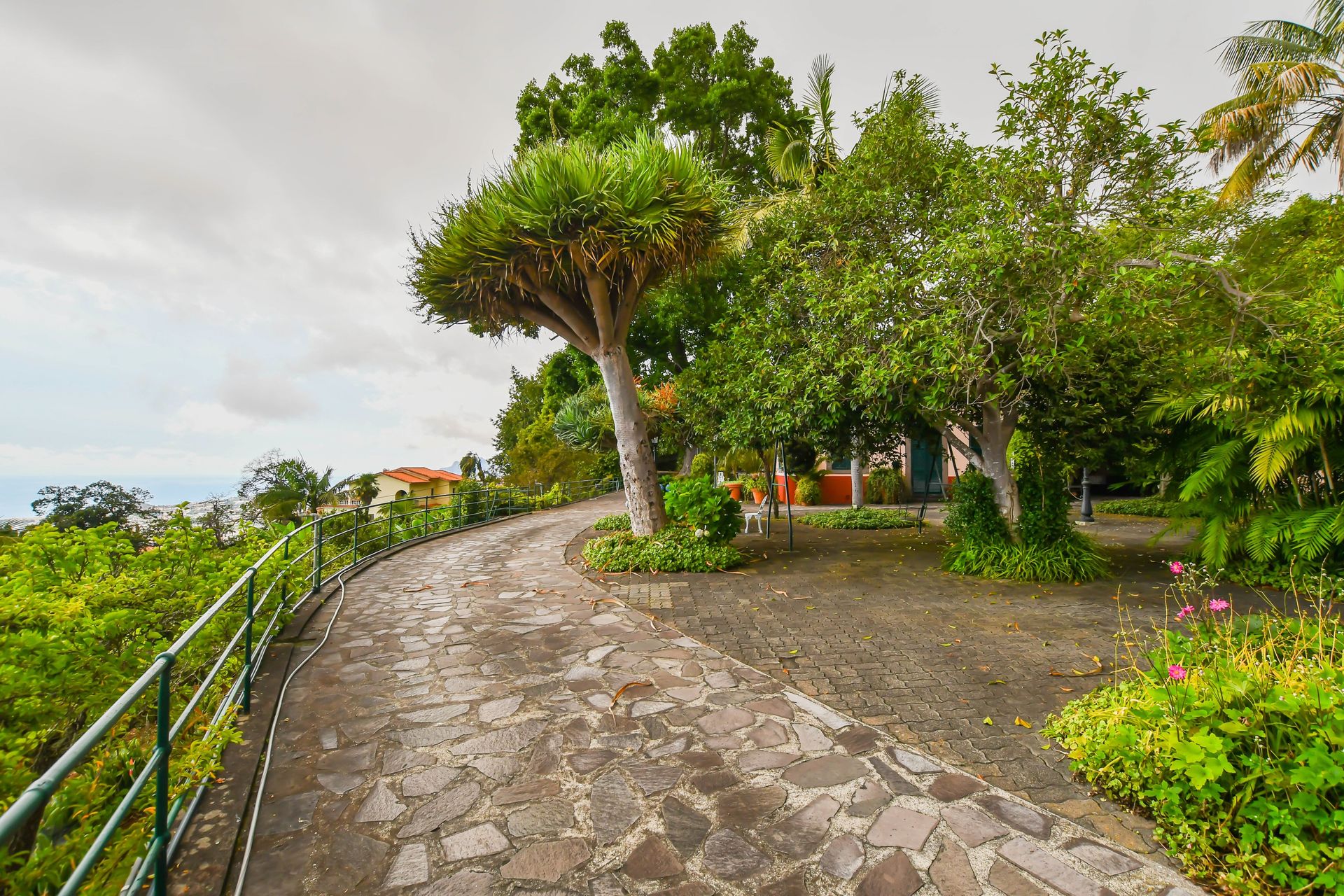 집 에 Funchal, Rua Padre Manuel Romero Rua de Aveiro 10214273