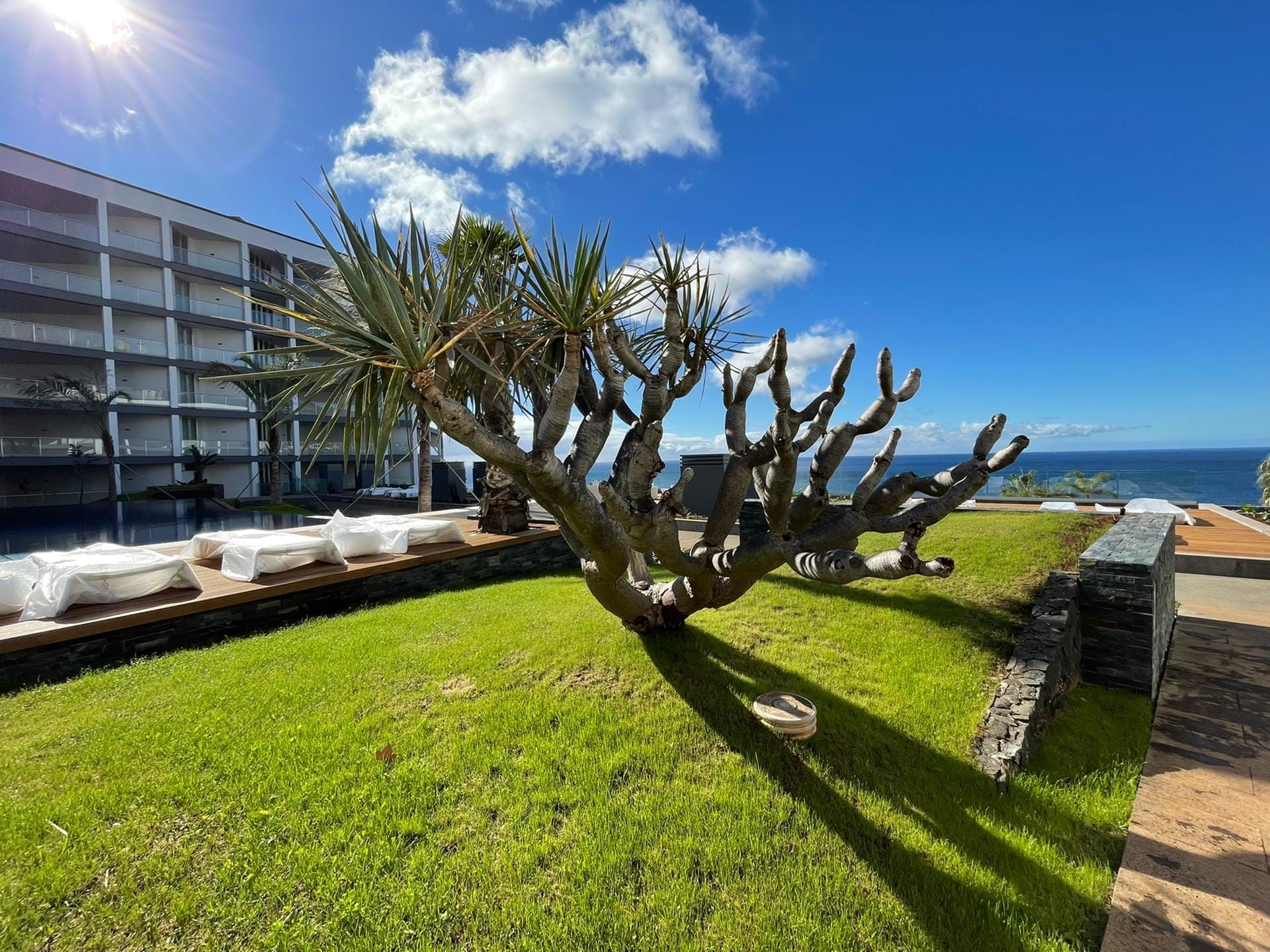 Condominium dans Funchal, Madeira 10214280