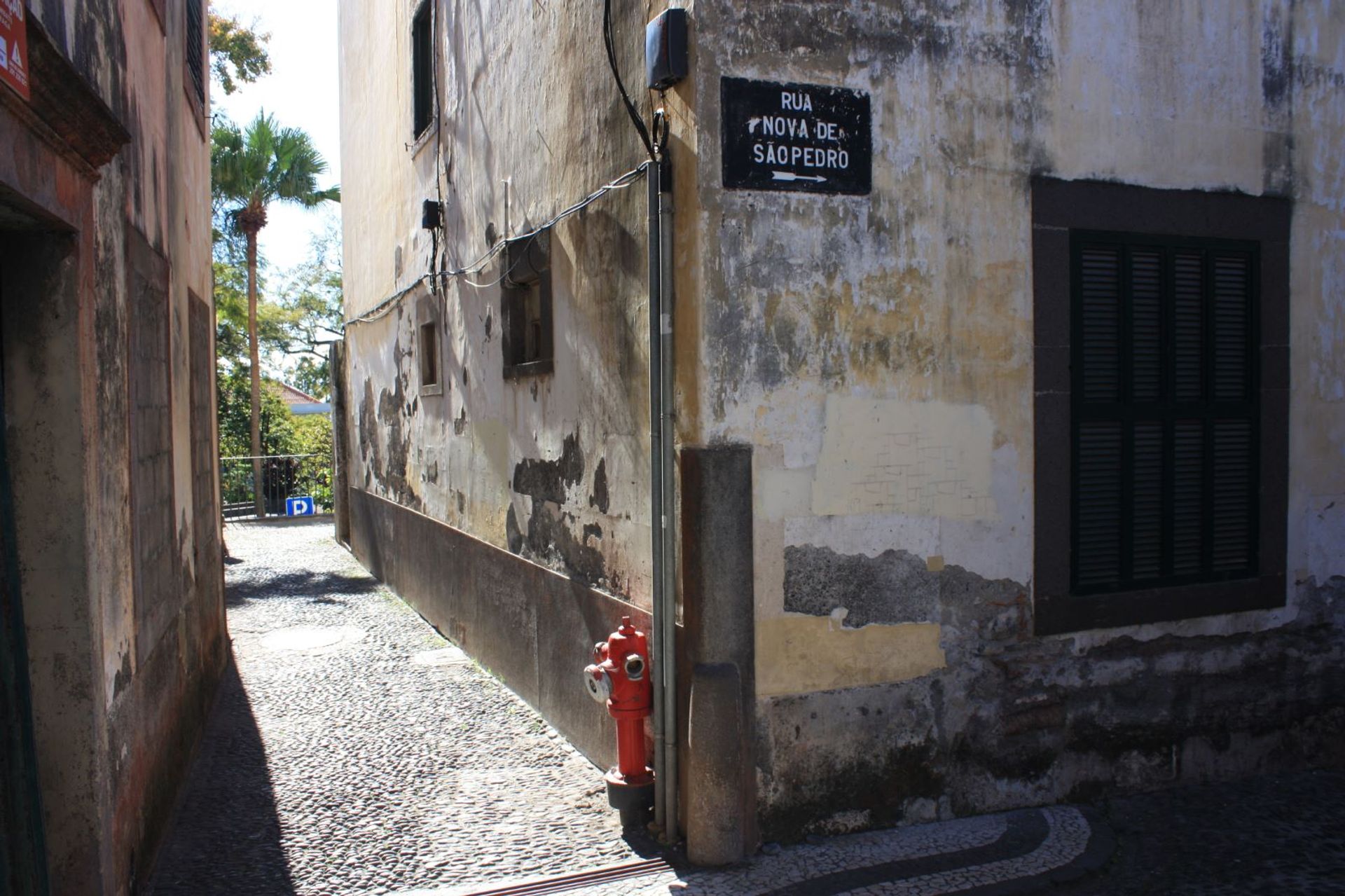 rumah dalam Funchal, Rua Nova de São Pedro 10214306