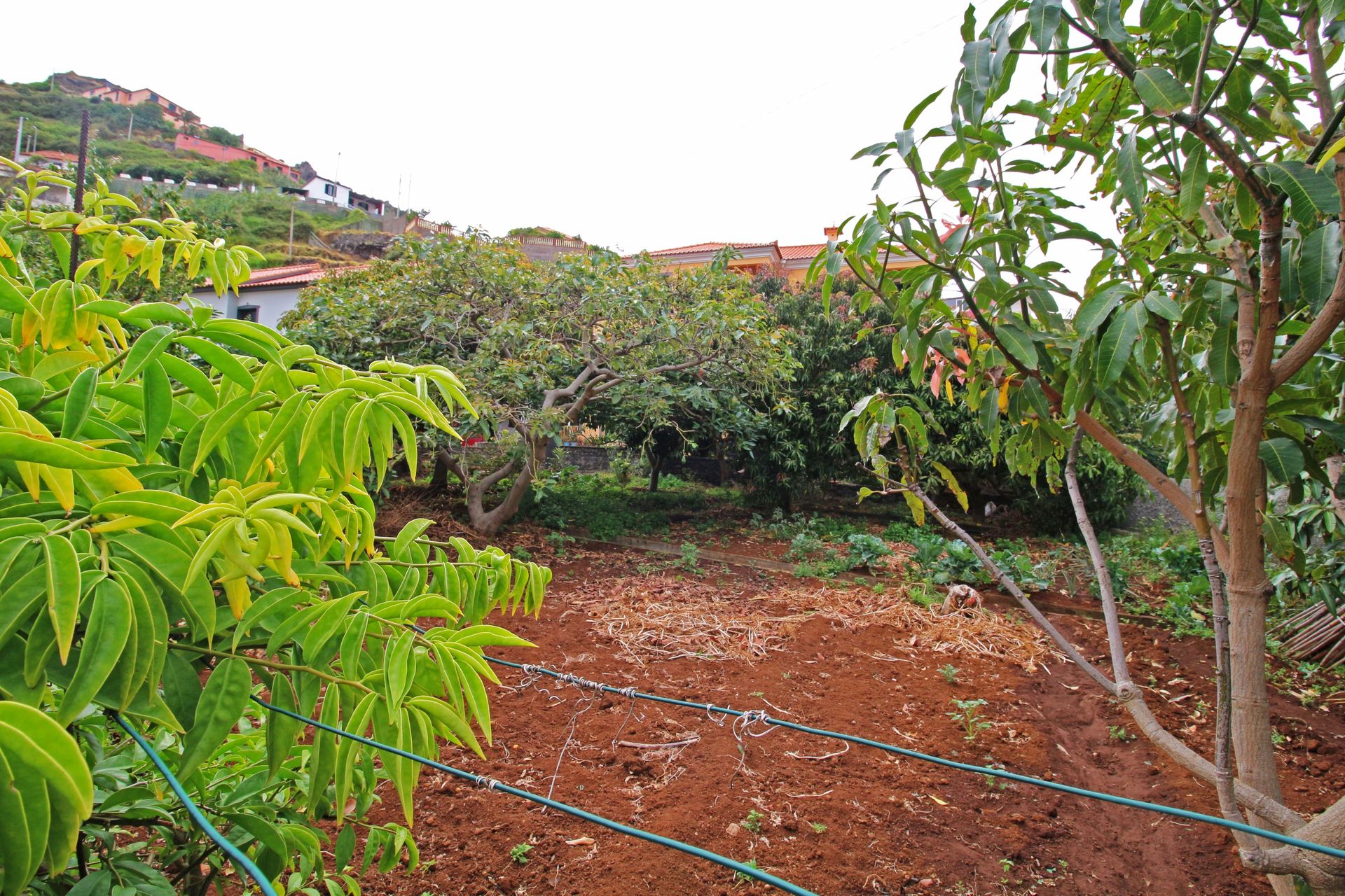 σπίτι σε Machico, Madeira 10214324