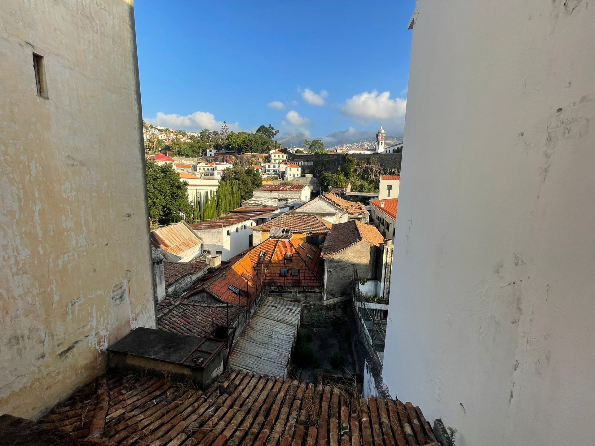 Hus i Funchal, Rua da Carreira 10214337