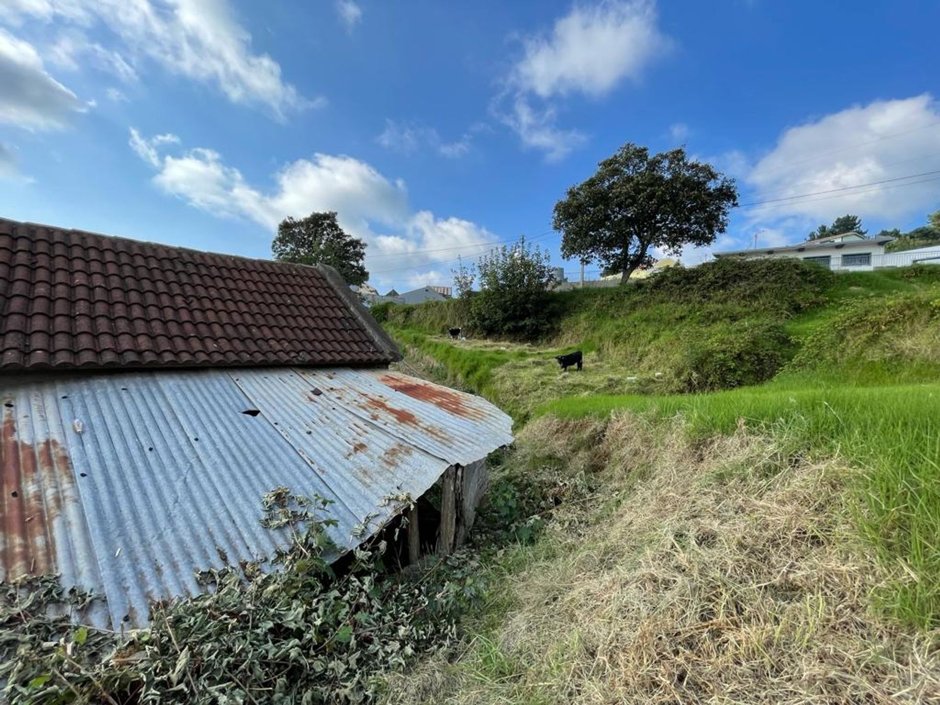 집 에 , 101 Caminho 2.ª Lombada dos Cedros 10214372