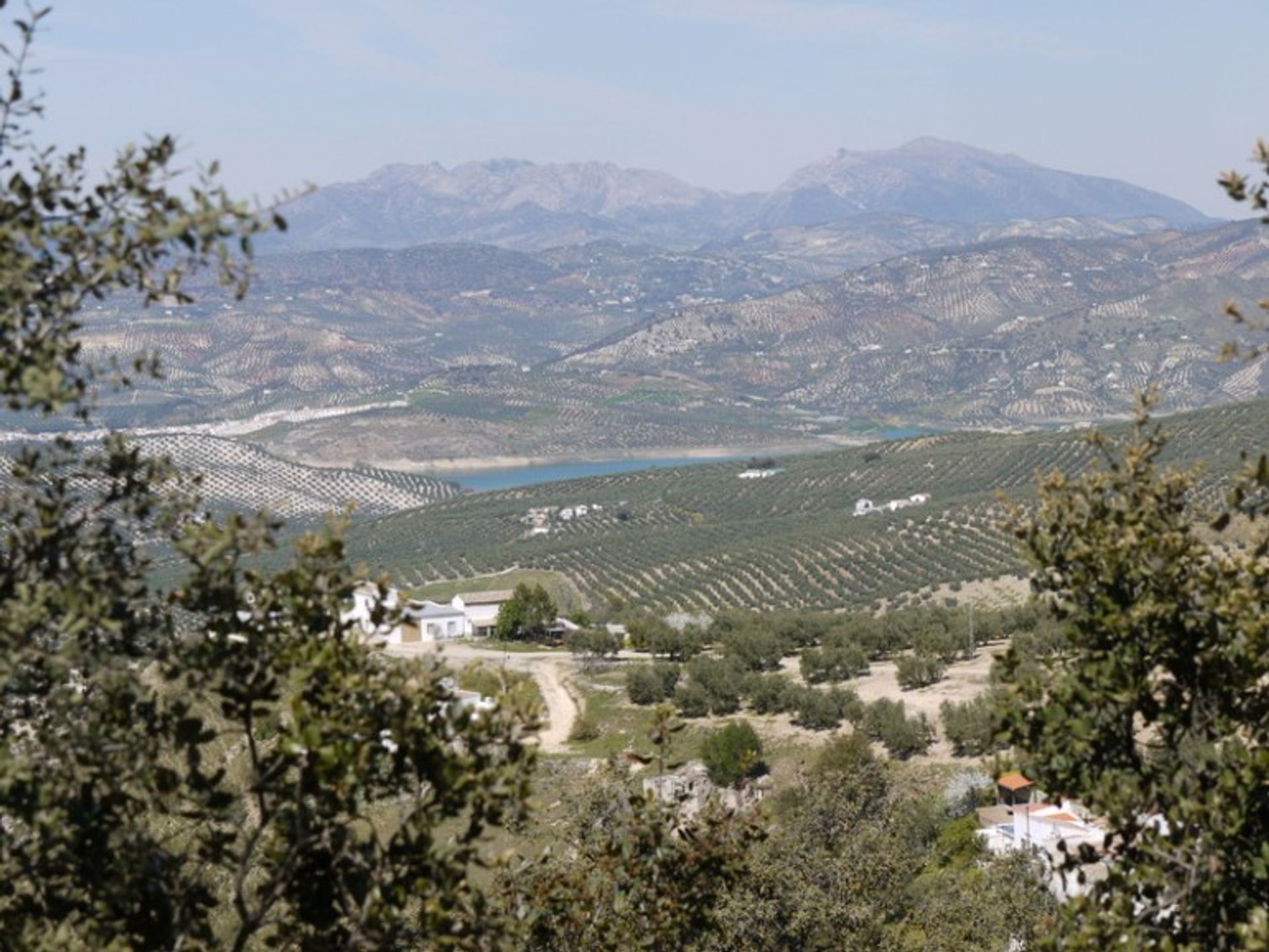 الأرض في Fuente del Conde, Andalucía 10214414